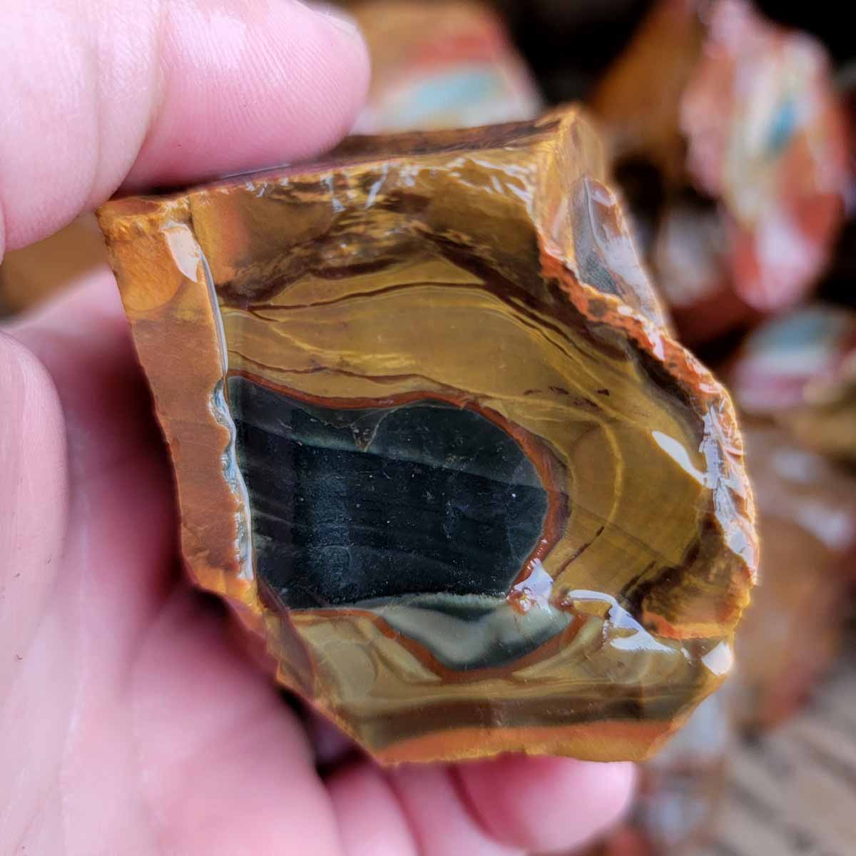 Polychrome Jasper Cutting Rough Flatrate!