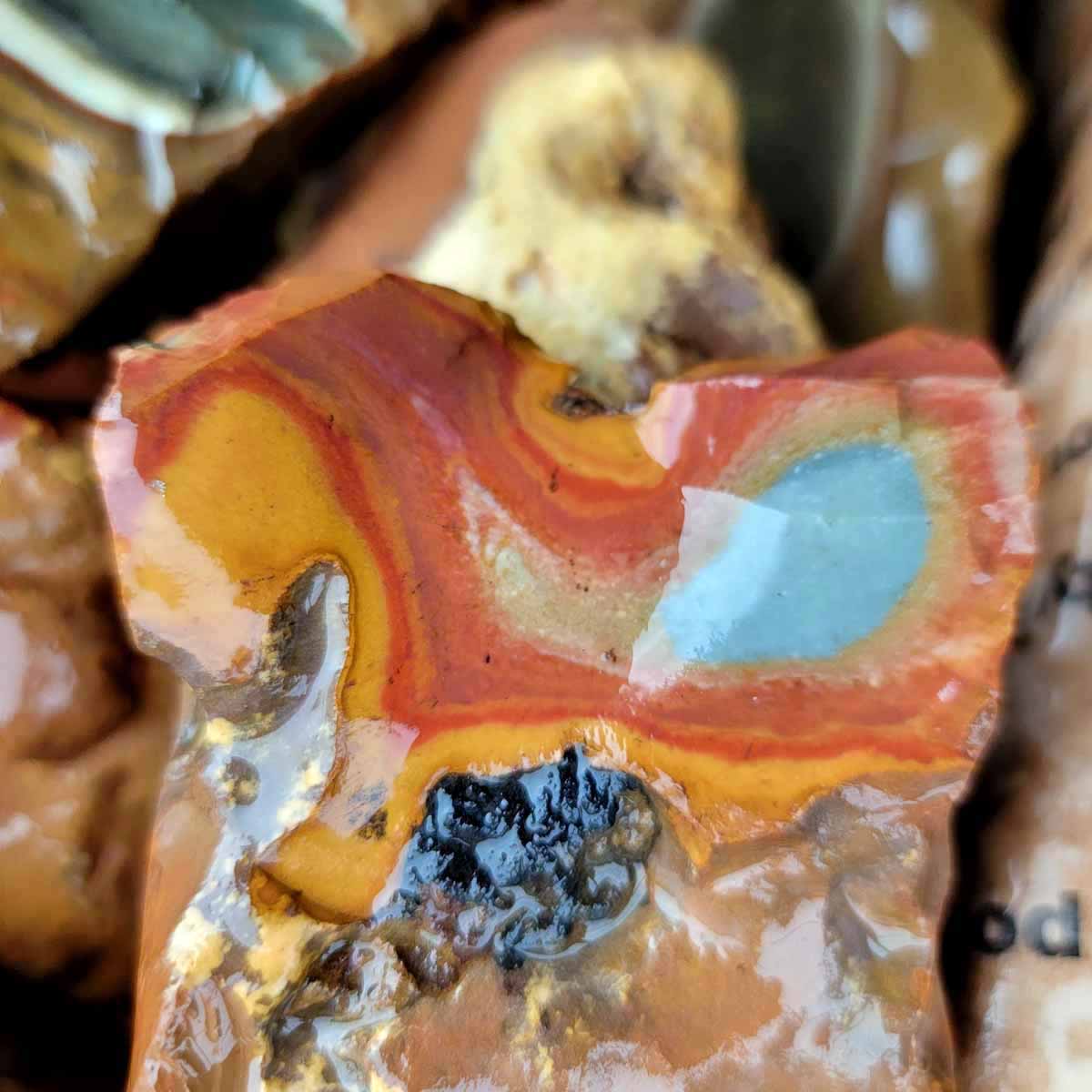 Polychrome Jasper Cutting Rough Flatrate!