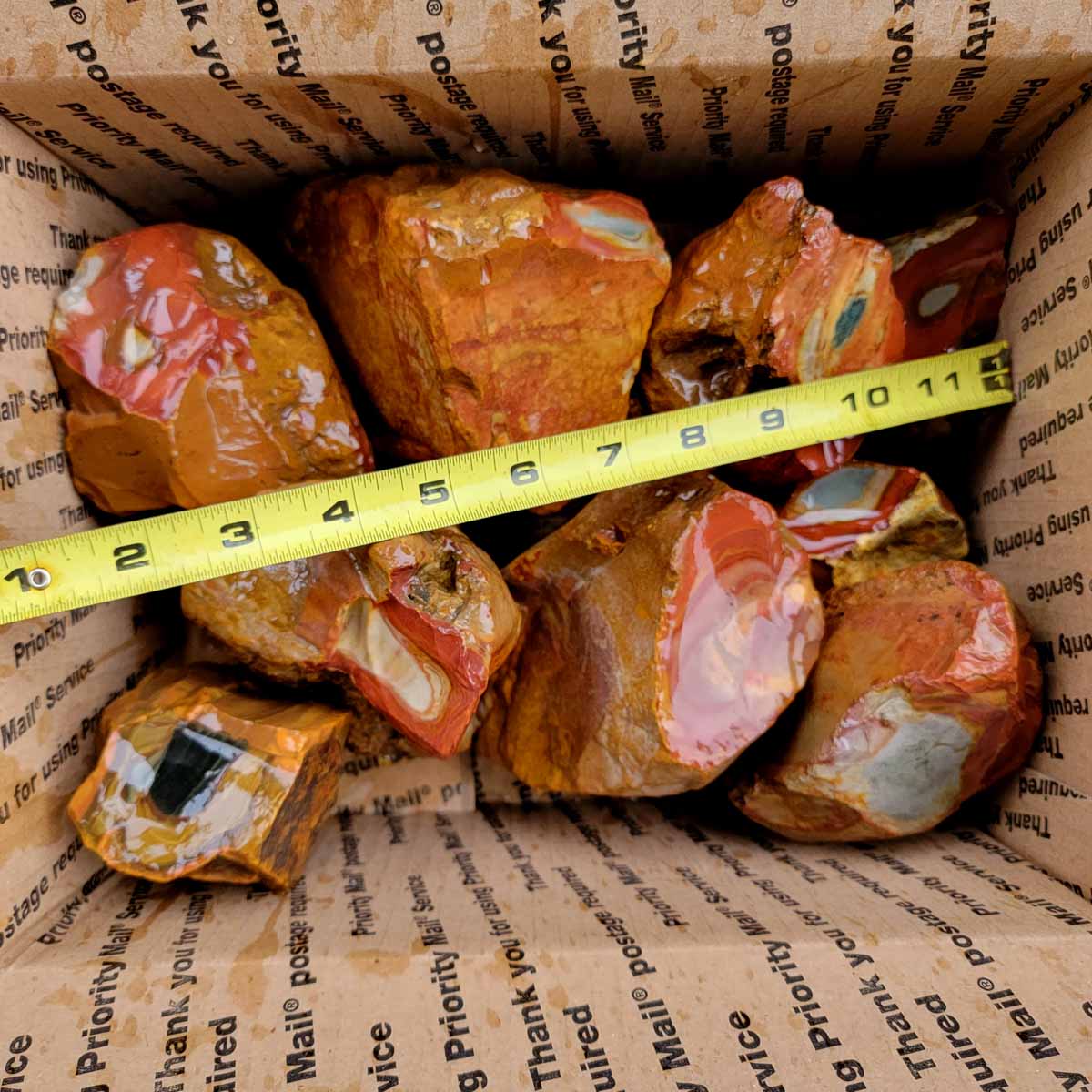 Polychrome Jasper Cutting Rough Flatrate!