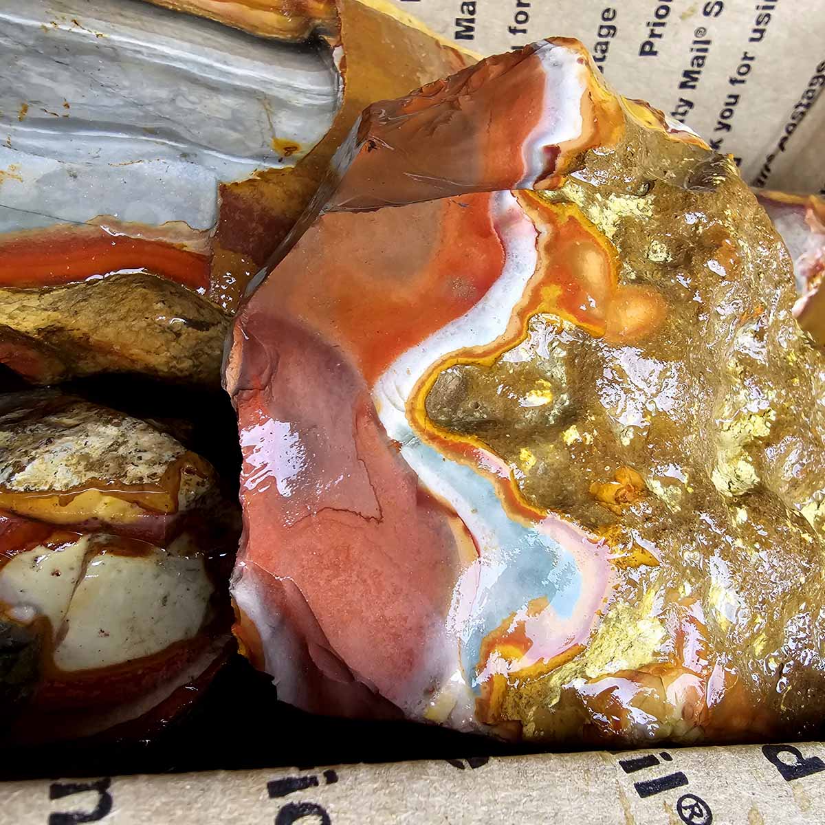 Polychrome Jasper Cutting Rough Flatrate!