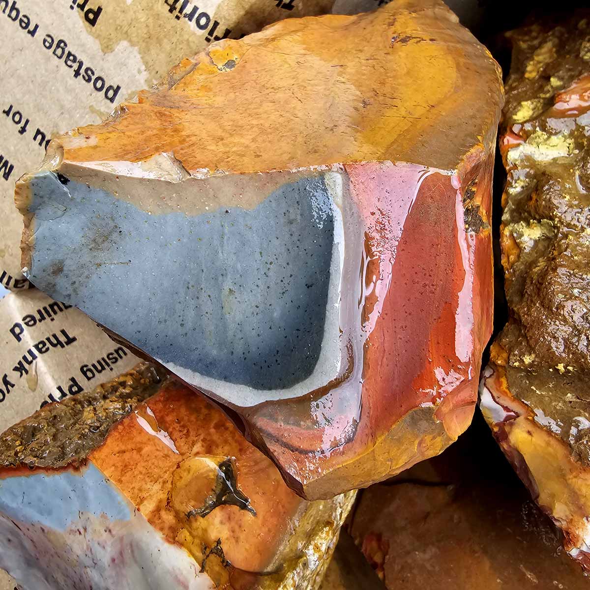 Polychrome Jasper Cutting Rough Flatrate!