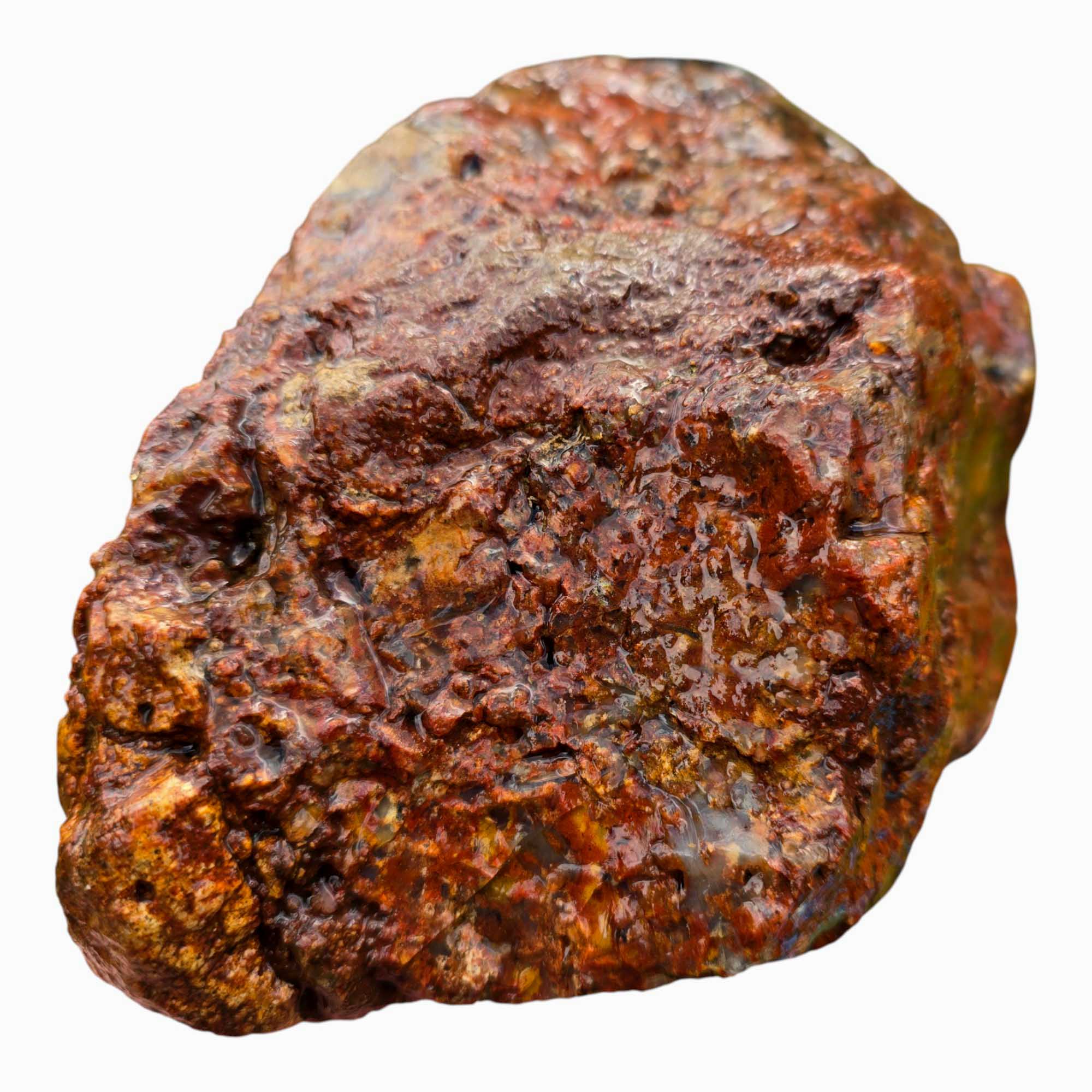 Old Stock Powell Butte Plume Agate Lapidary Cutting Rough Chunk