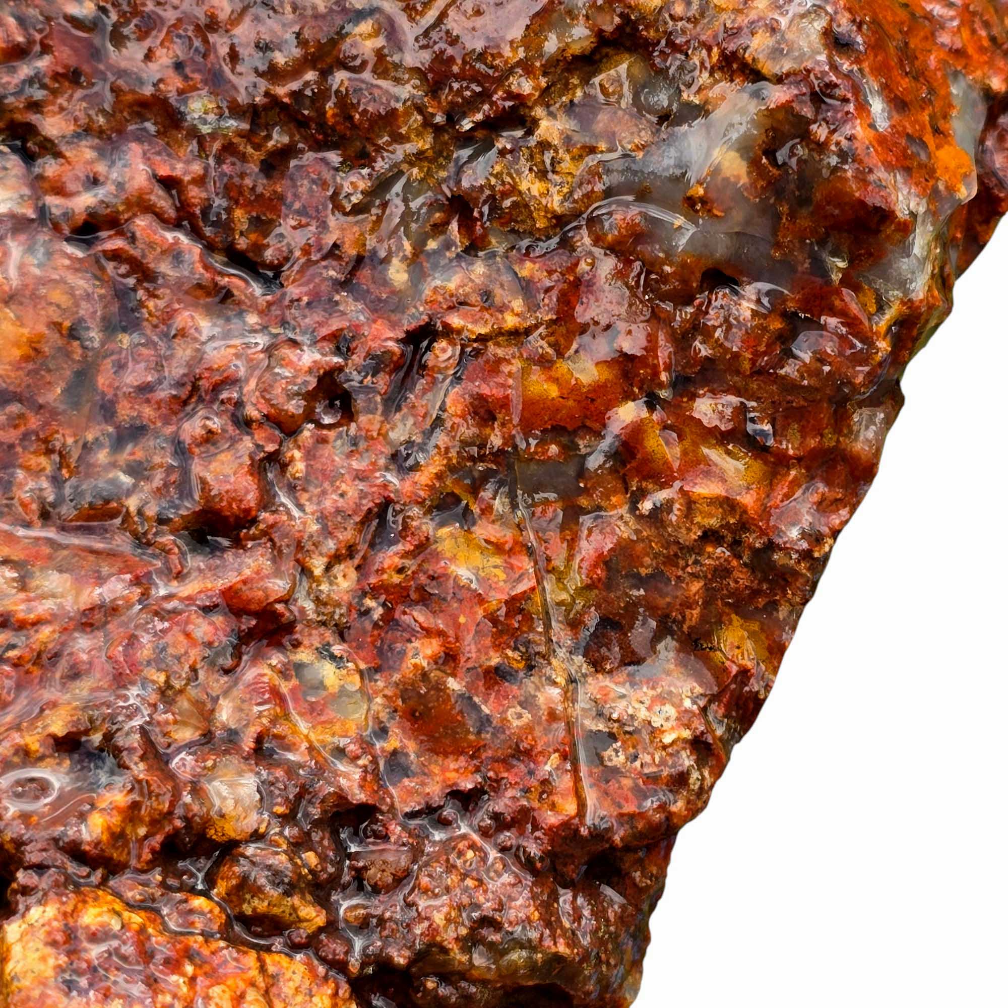 Old Stock Powell Butte Plume Agate Lapidary Cutting Rough Chunk