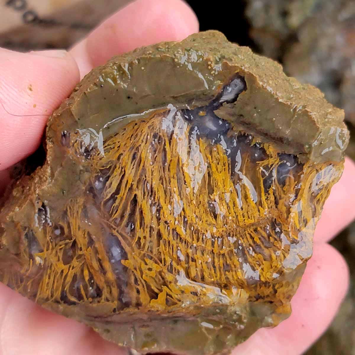 Priday Richardson Moss Bed Thunderegg Cutting Rough Flatrate!