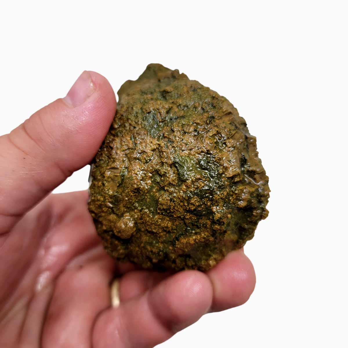 Priday Moss Bed Egg Rough Chunk!