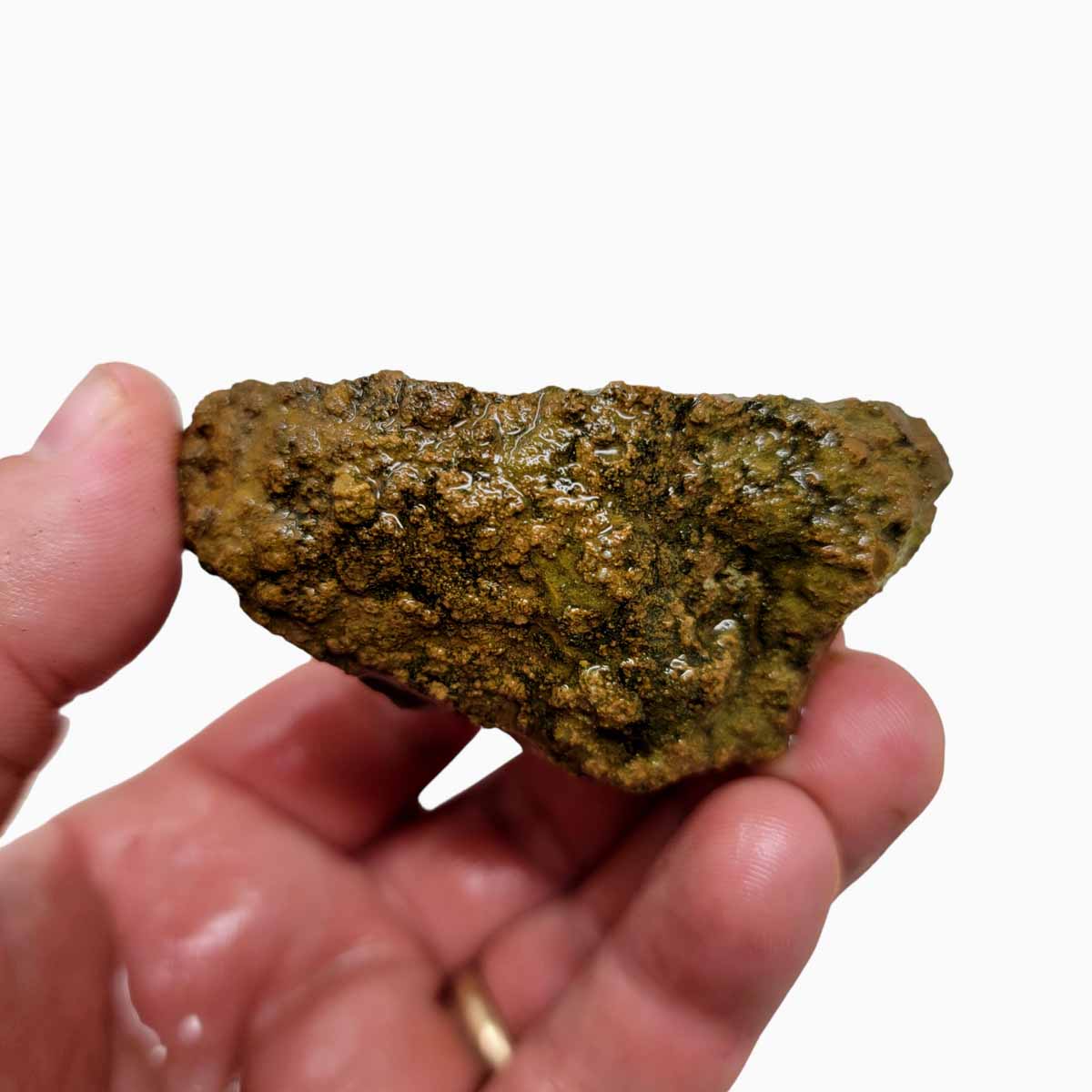 Priday Moss Bed Egg Rough Chunk!