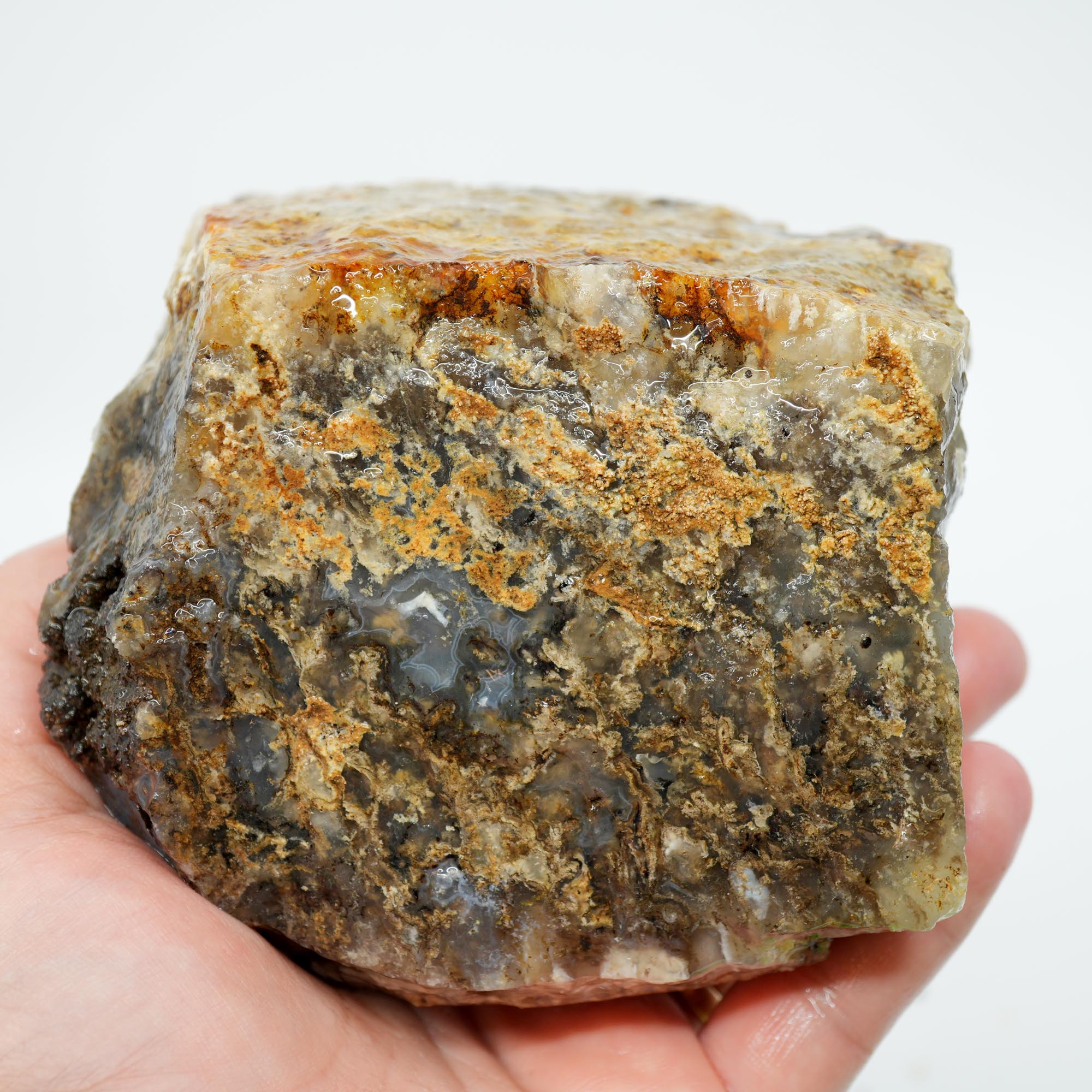 Graveyard Point Plume Agate Rough - Classic Long Black Plume in Translucent Agate