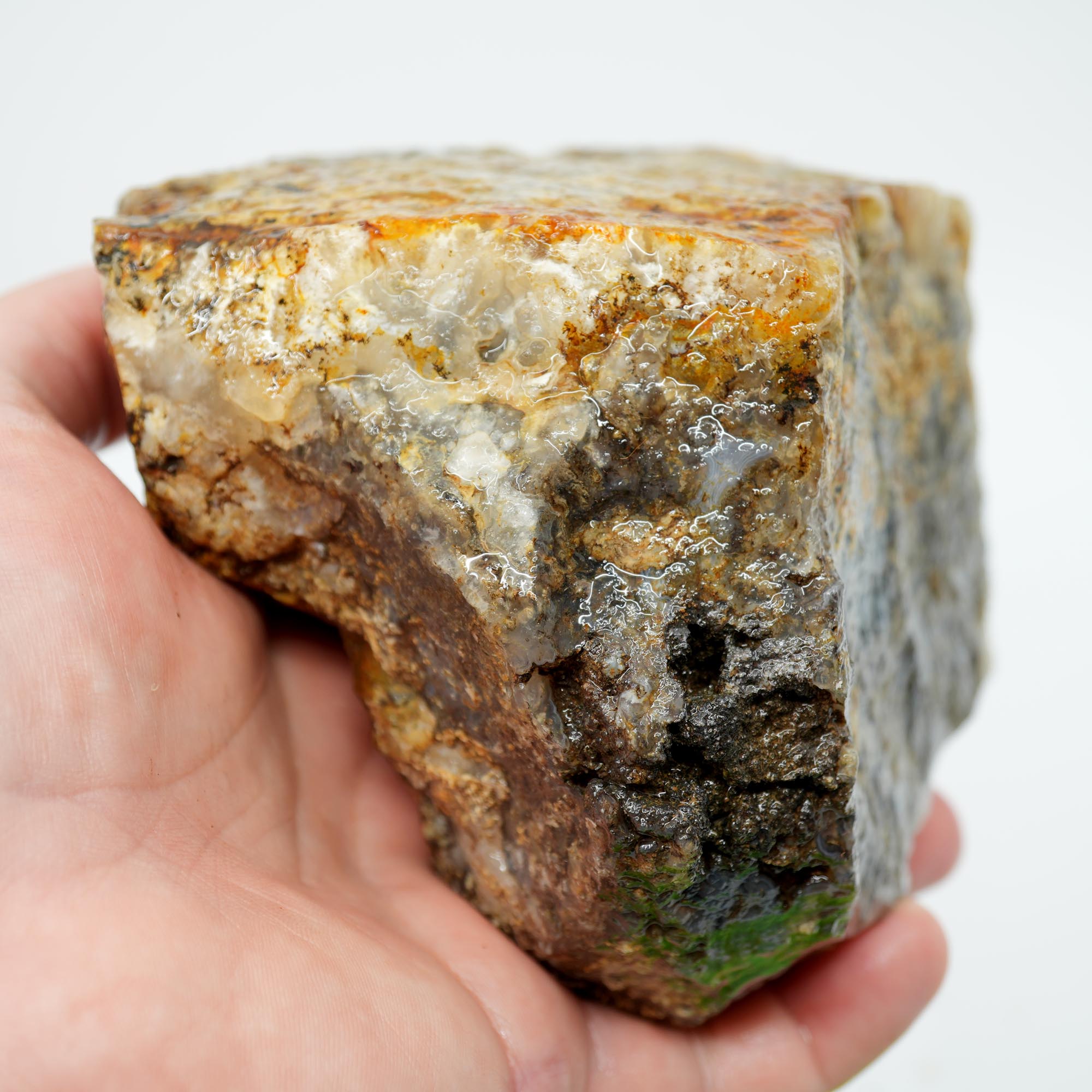 Graveyard Point Plume Agate Rough - Classic Long Black Plume in Translucent Agate
