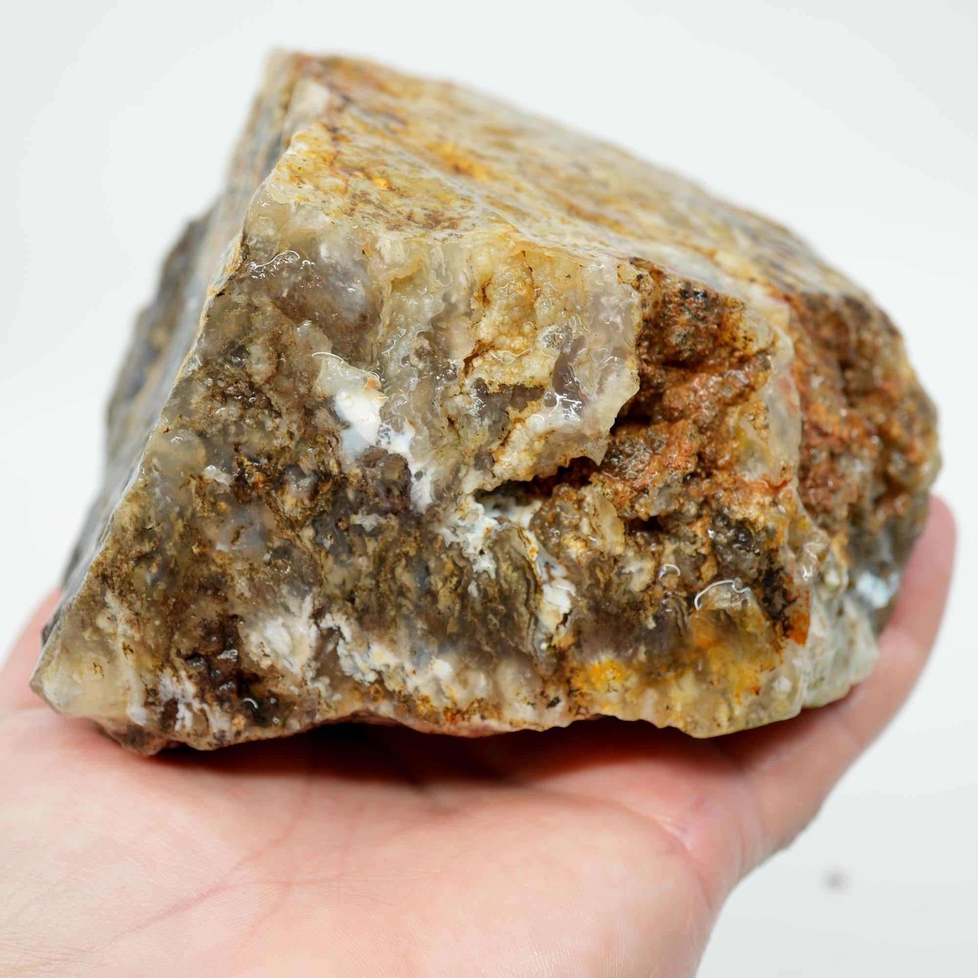 Graveyard Point Plume Agate Rough - Classic Long Black Plume in Translucent Agate