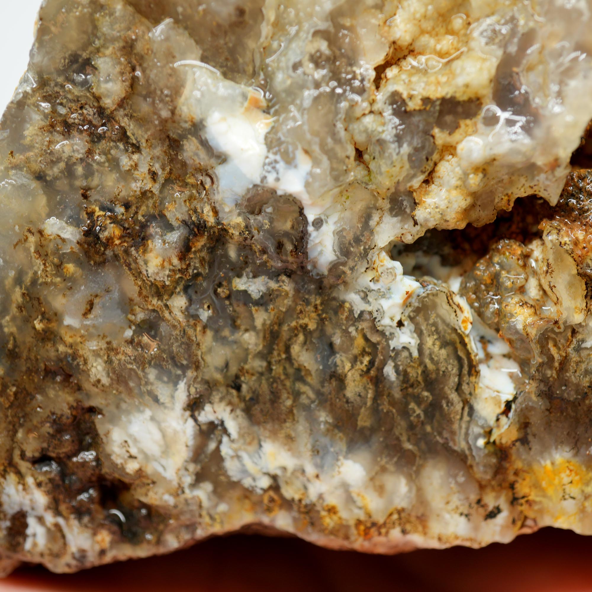 Graveyard Point Plume Agate Rough - Classic Long Black Plume in Translucent Agate