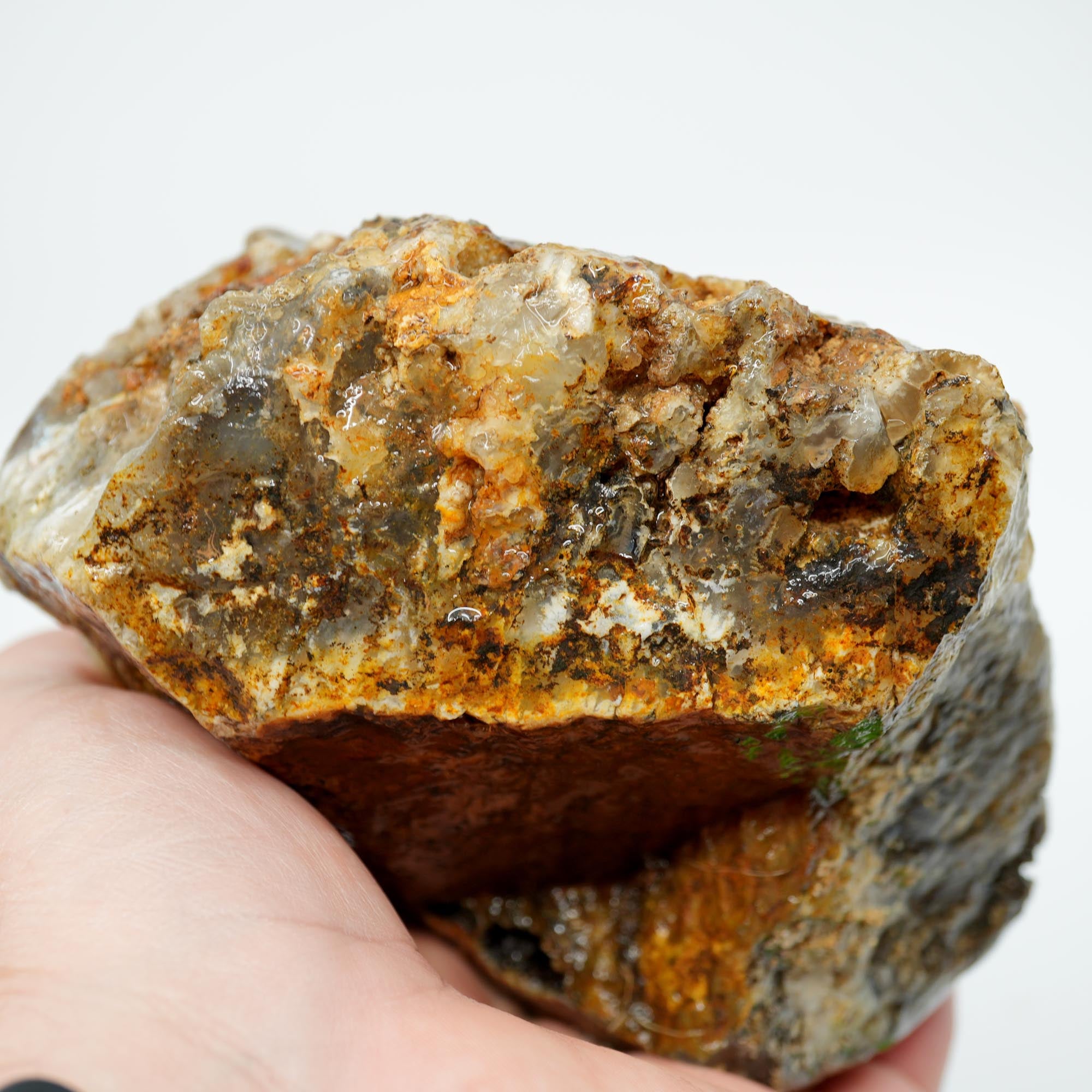 Graveyard Point Plume Agate Rough - Classic Long Black Plume in Translucent Agate