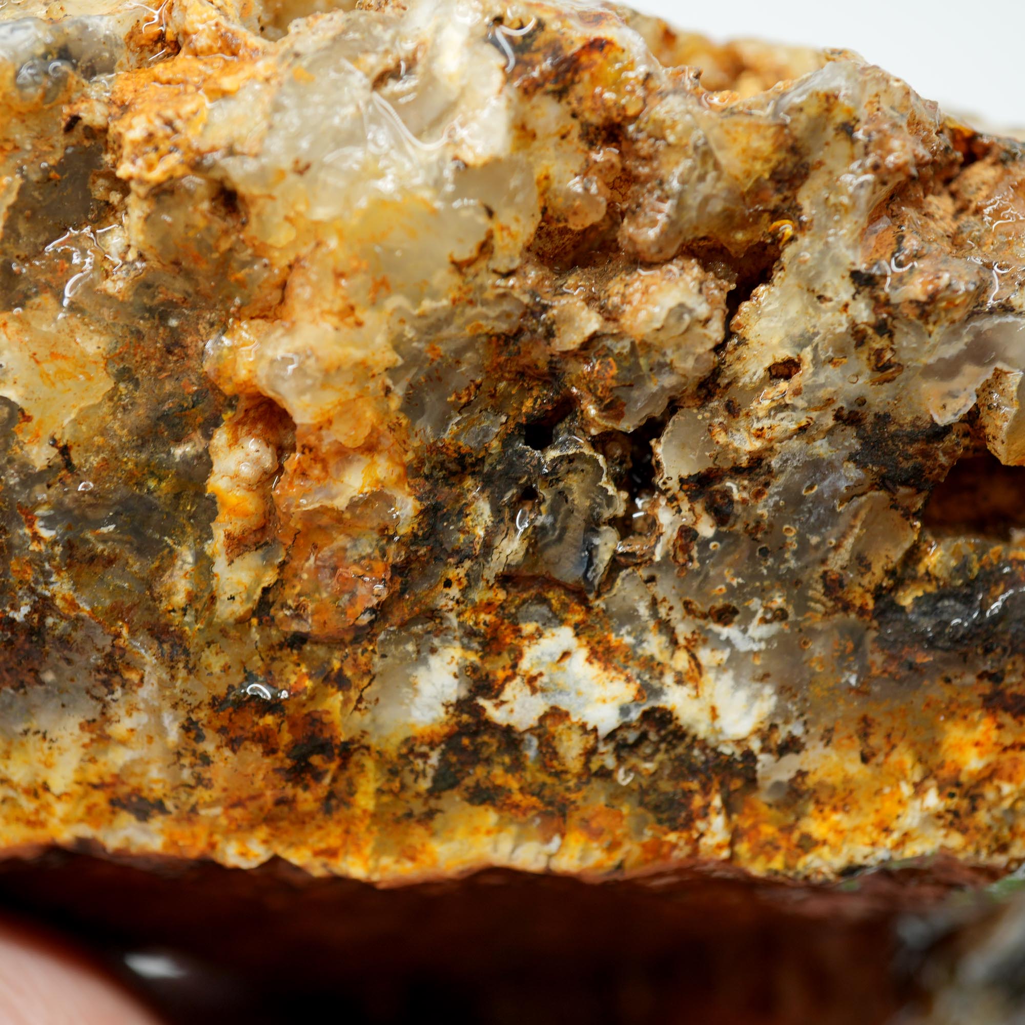 Graveyard Point Plume Agate Rough - Classic Long Black Plume in Translucent Agate