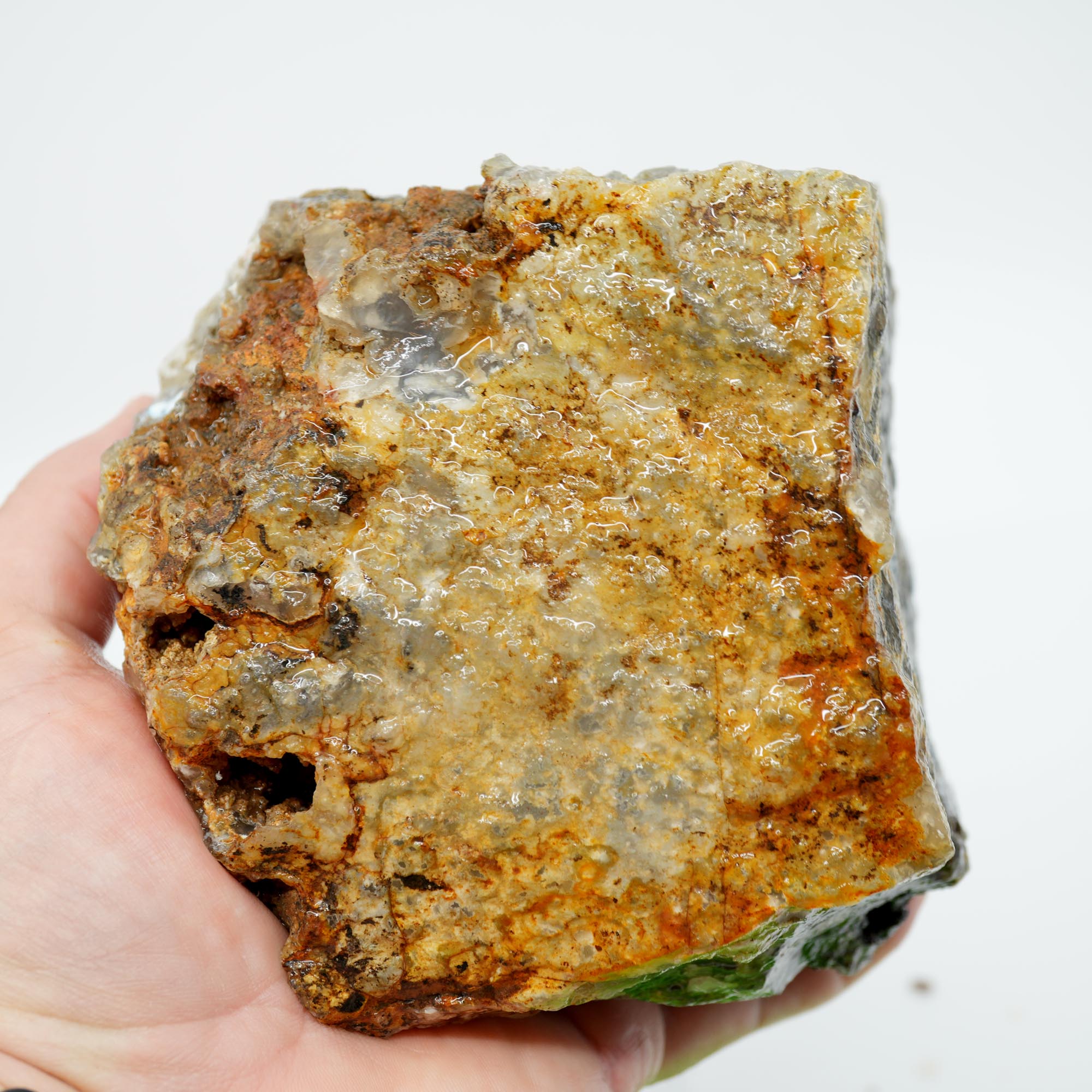 Graveyard Point Plume Agate Rough - Classic Long Black Plume in Translucent Agate
