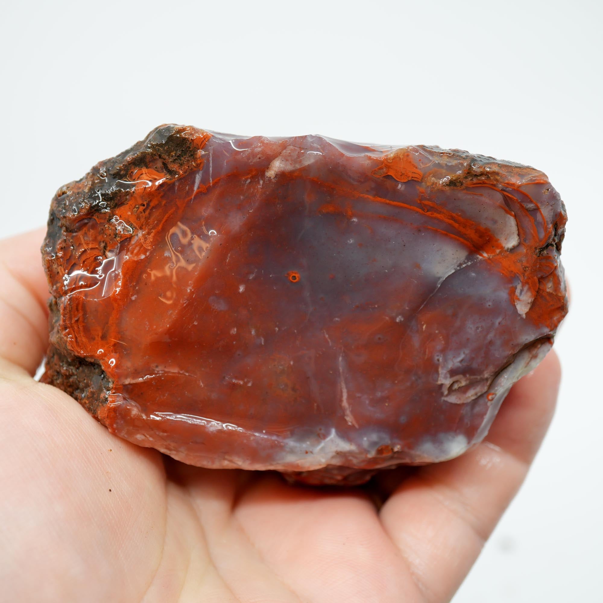 Carey Plume Agate Rough - Classic Red with Oyster Shell Pattern
