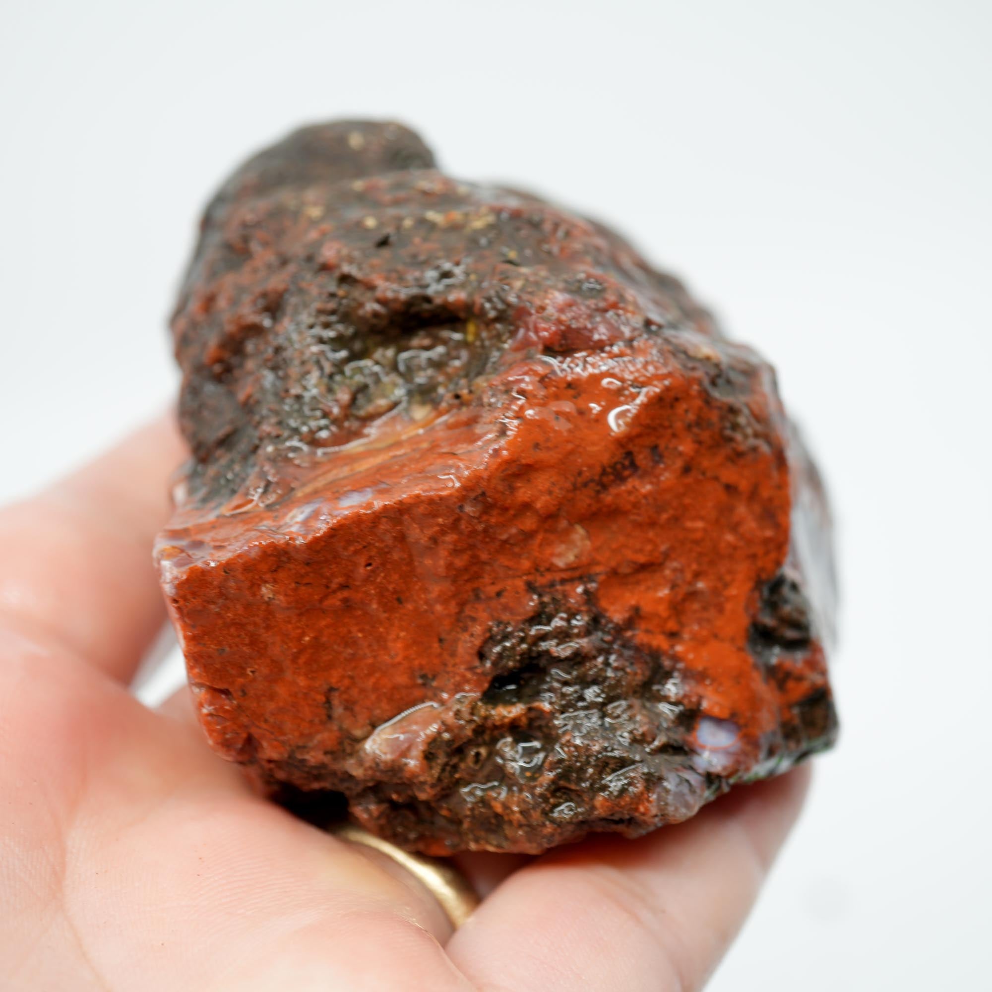 Carey Plume Agate Rough - Classic Red with Oyster Shell Pattern
