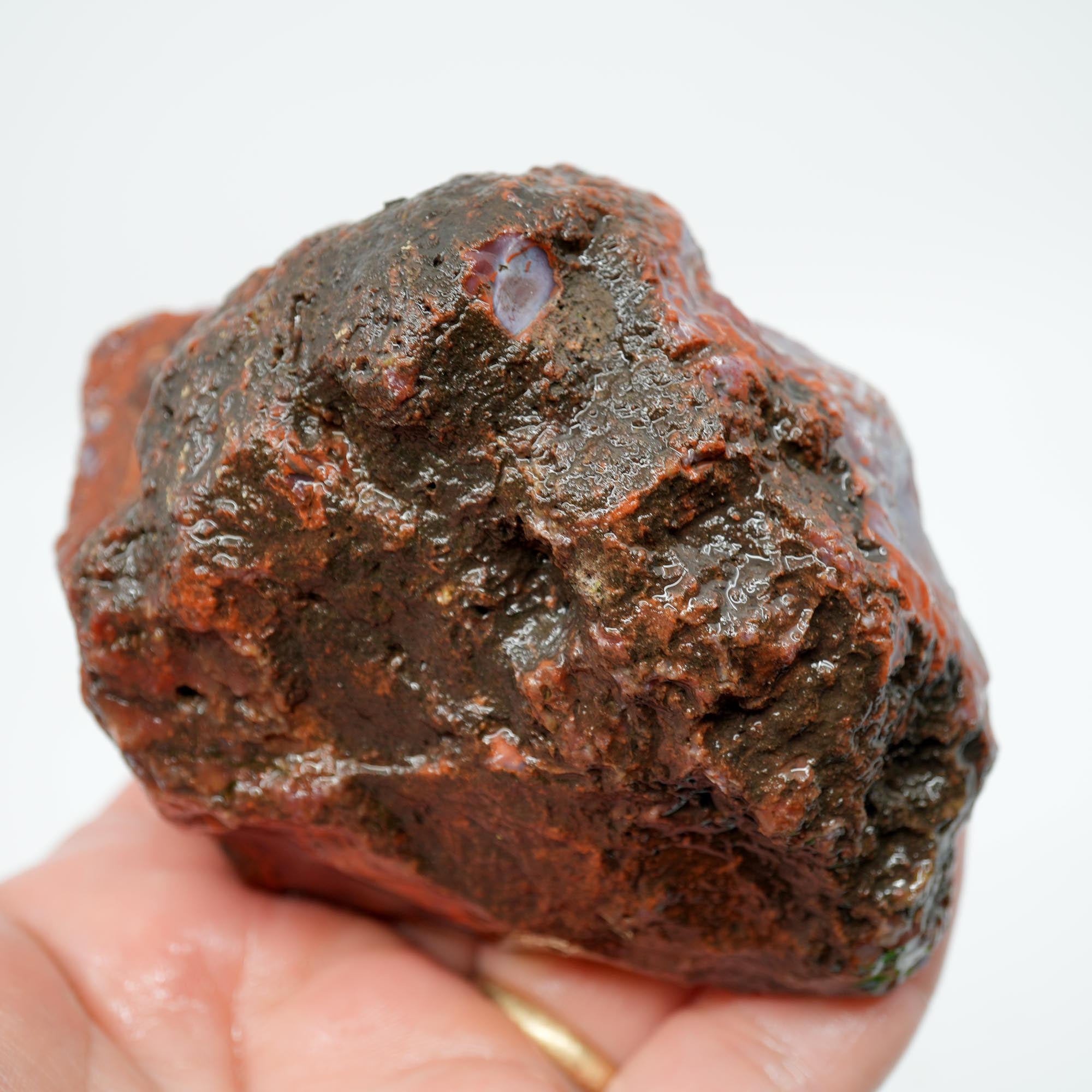 Carey Plume Agate Rough - Classic Red with Oyster Shell Pattern