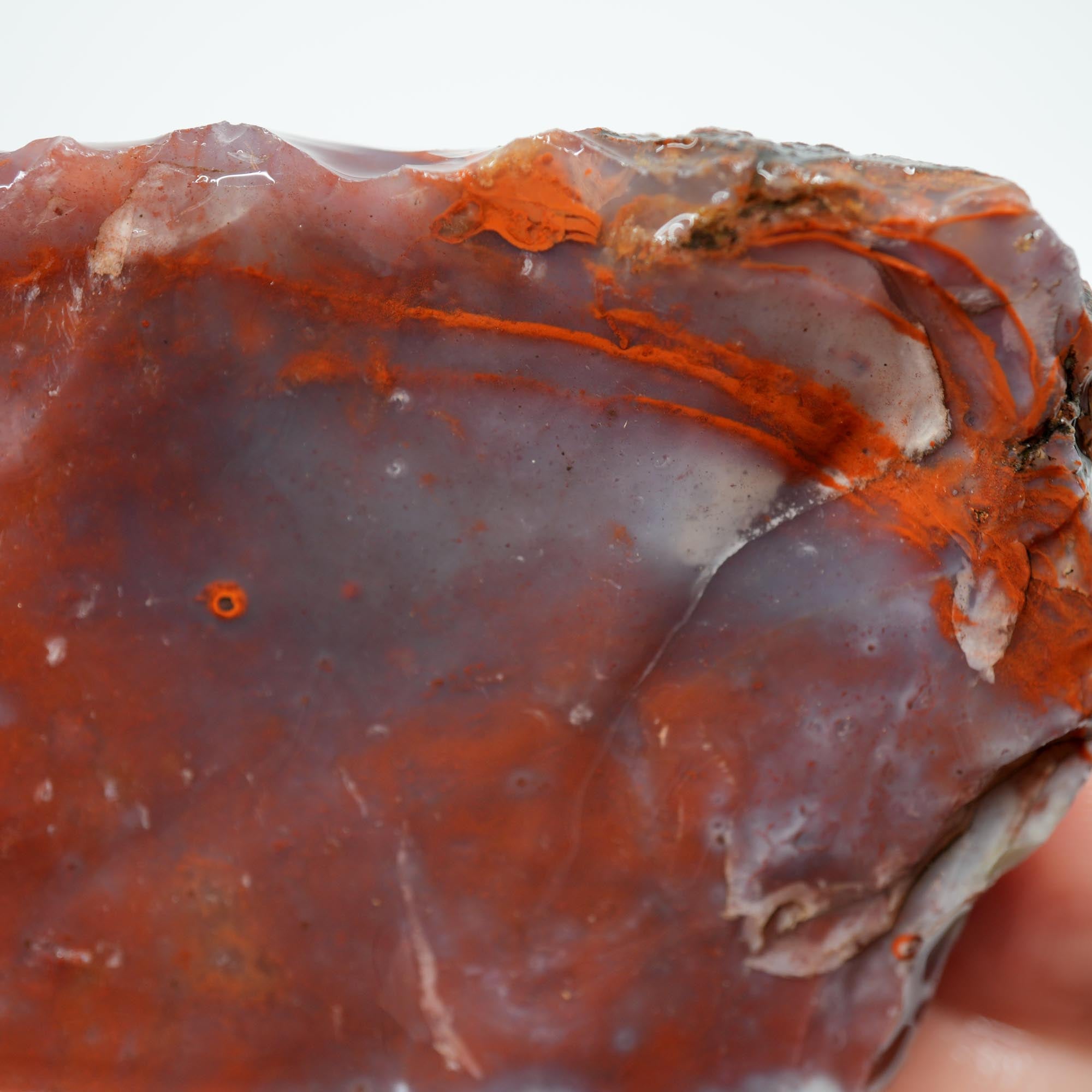 Carey Plume Agate Rough - Classic Red with Oyster Shell Pattern