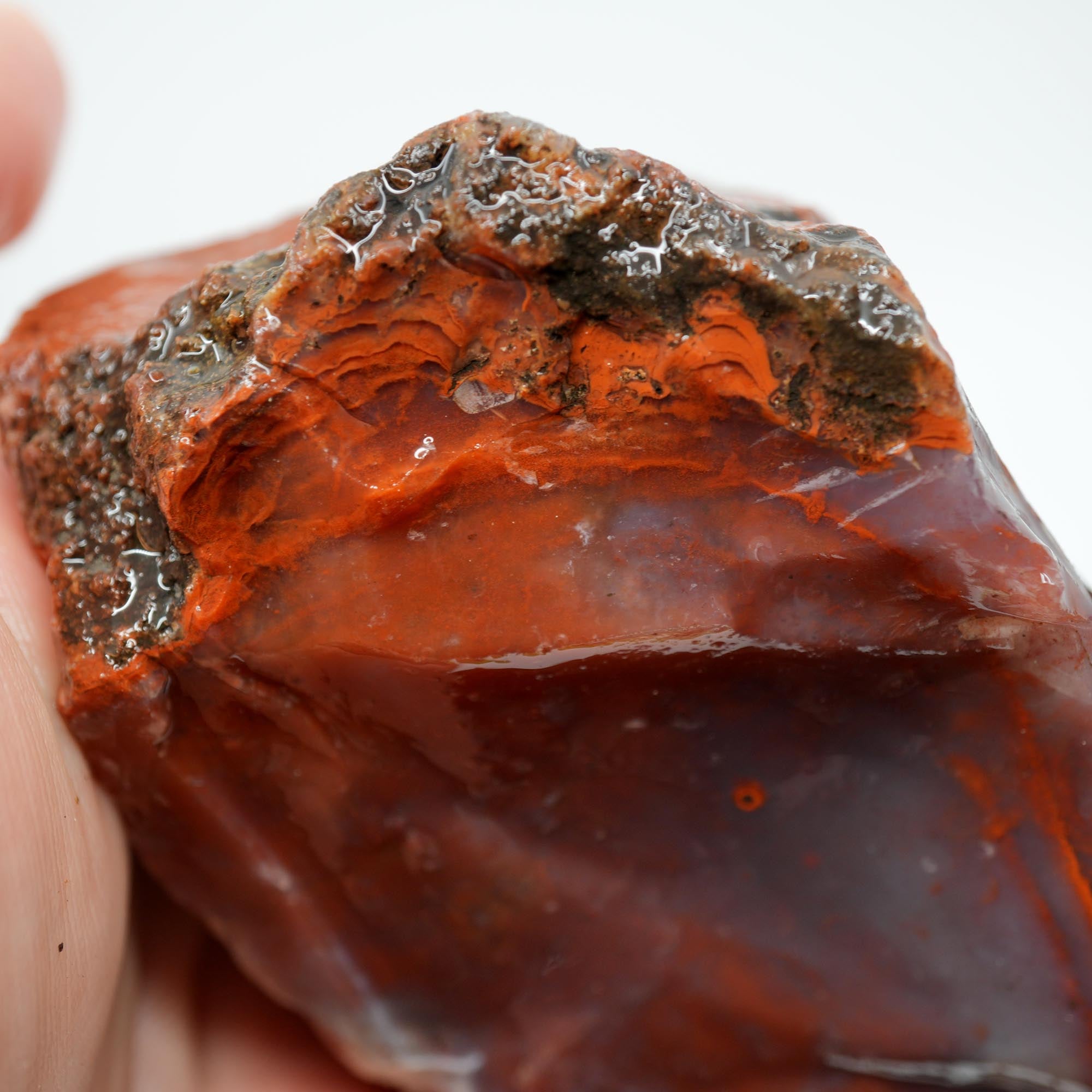 Carey Plume Agate Rough - Classic Red with Oyster Shell Pattern