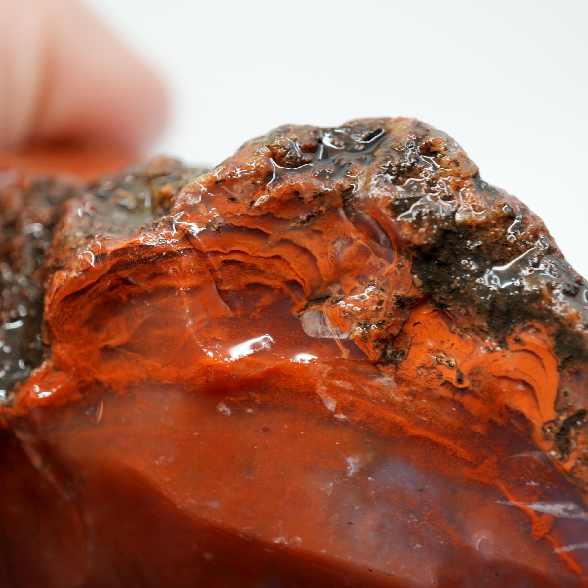 Carey Plume Agate Rough - Classic Red with Oyster Shell Pattern