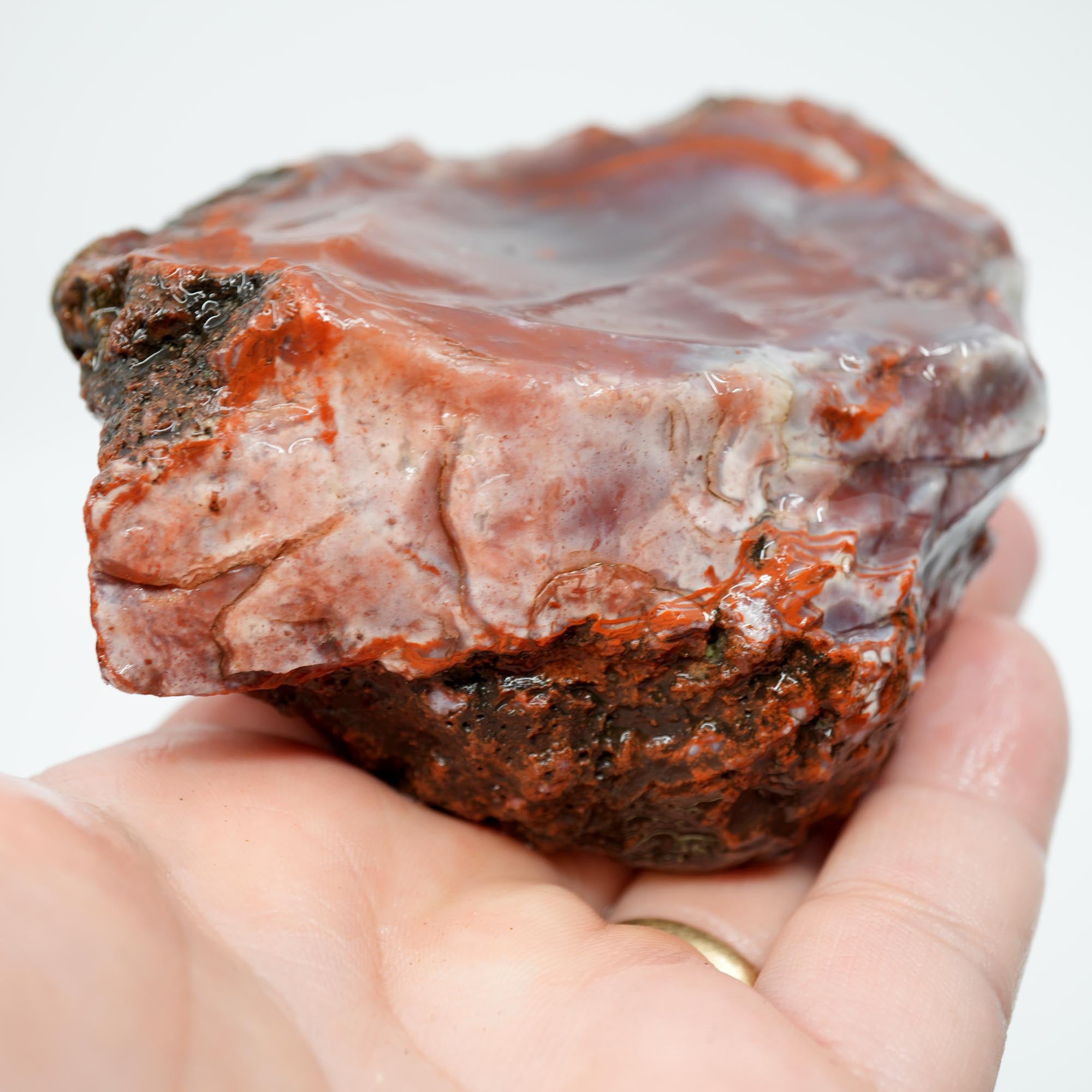 Carey Plume Agate Rough - Classic Red with Oyster Shell Pattern