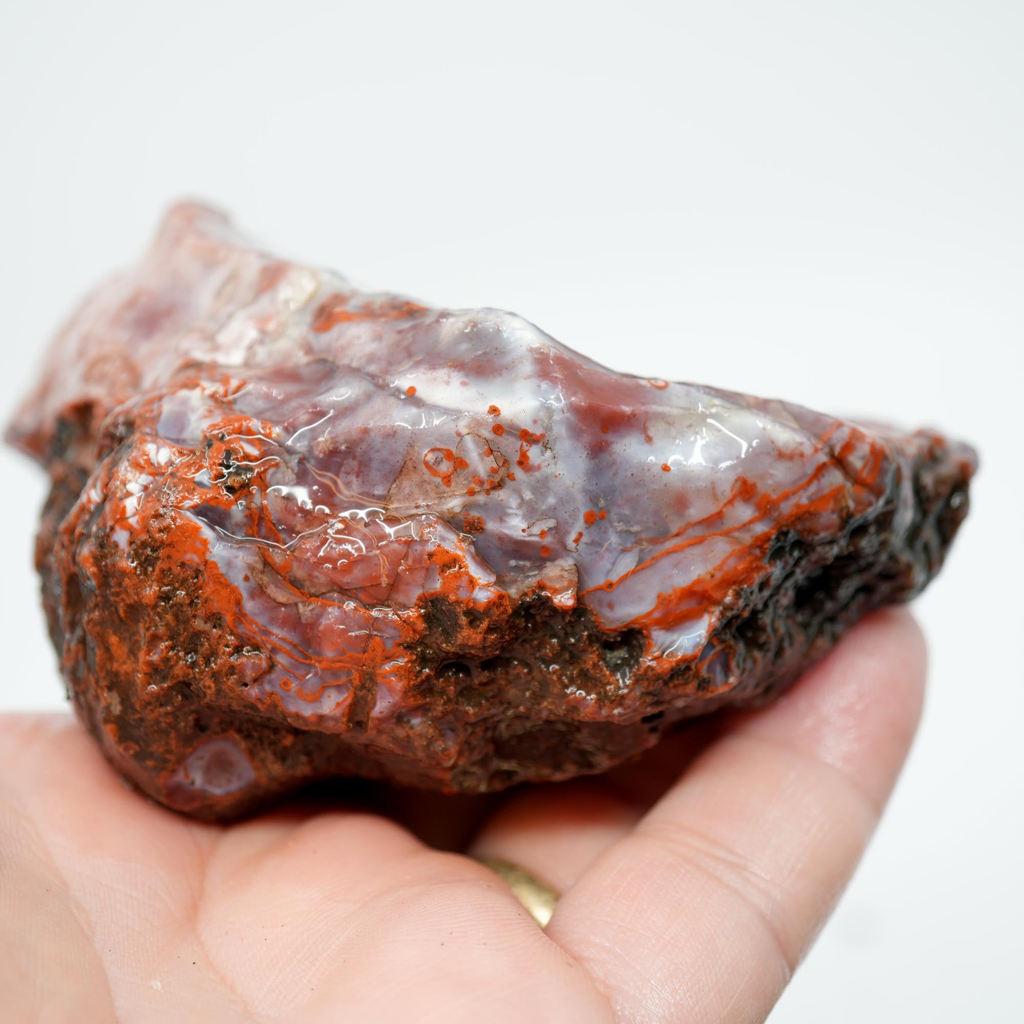 Carey Plume Agate Rough - Classic Red with Oyster Shell Pattern