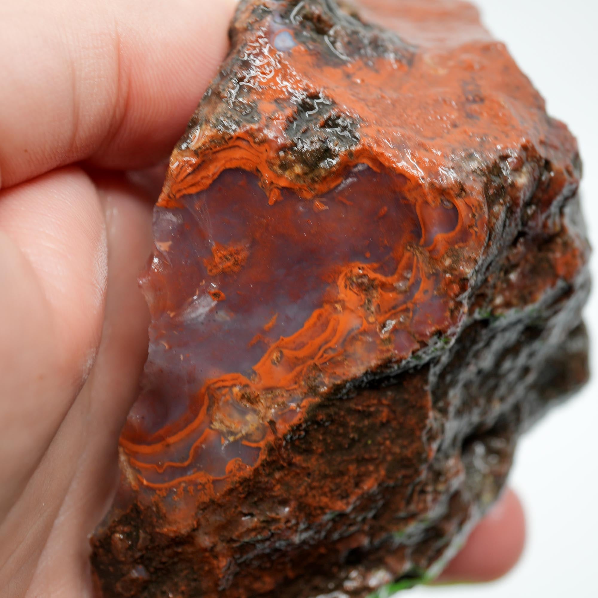 Carey Plume Agate Rough - Classic Red with Oyster Shell Pattern