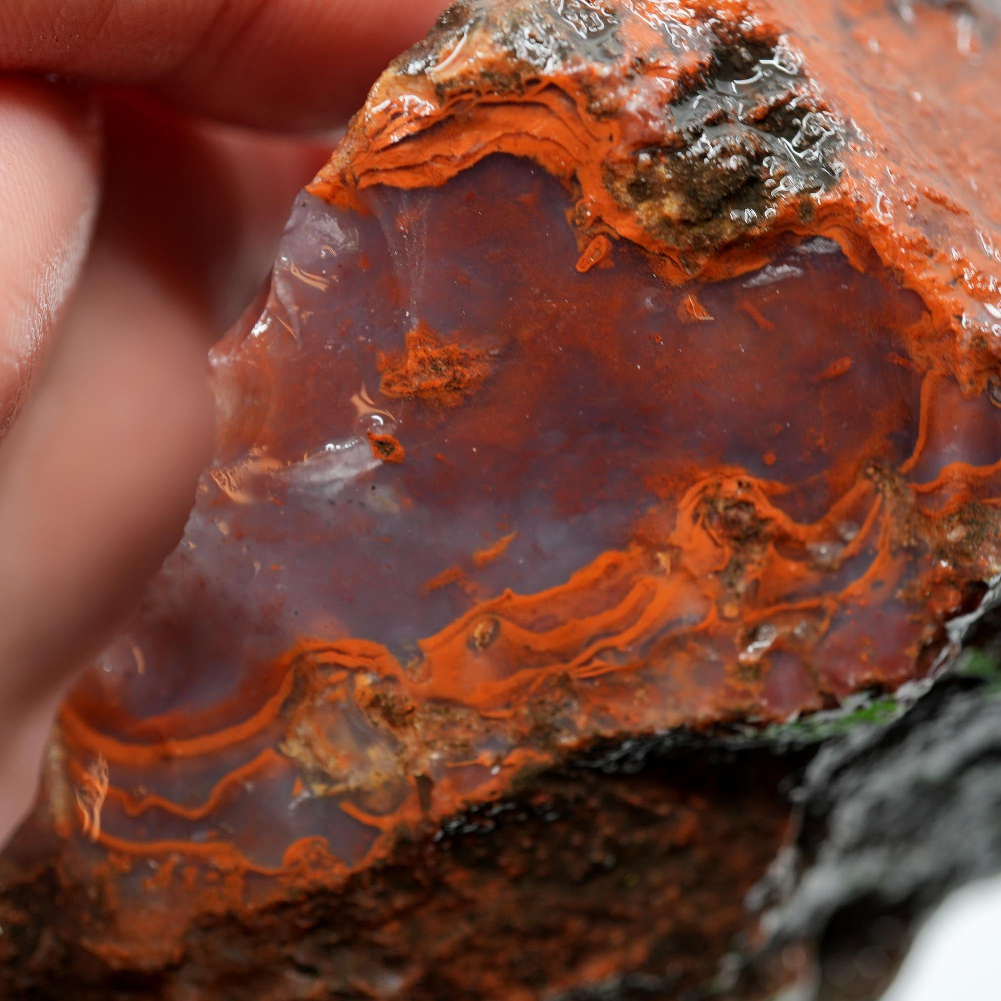 Carey Plume Agate Rough - Classic Red with Oyster Shell Pattern
