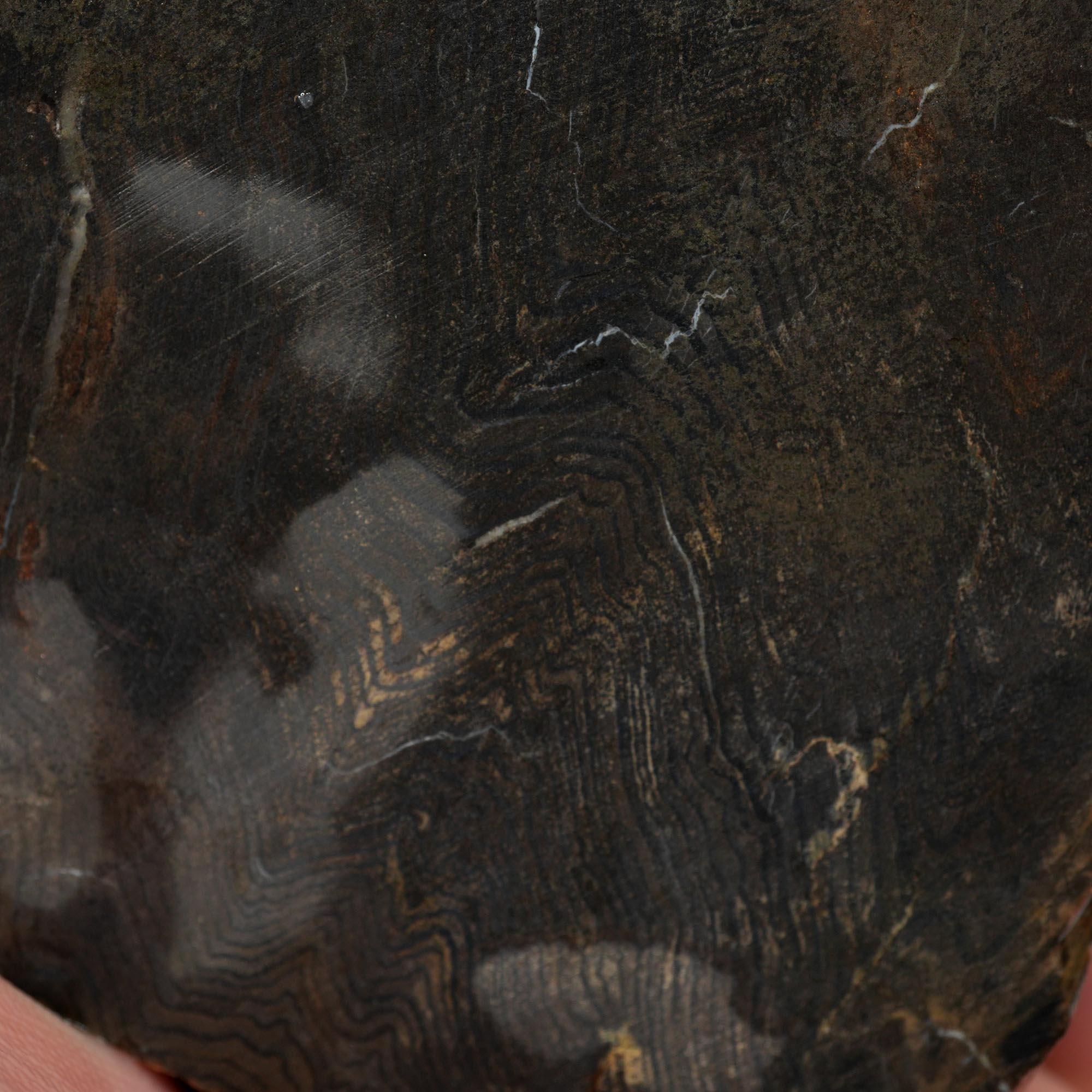 Prineville Herringbone Petrified Wood Cut and Proven - Black Herringbone Pattern