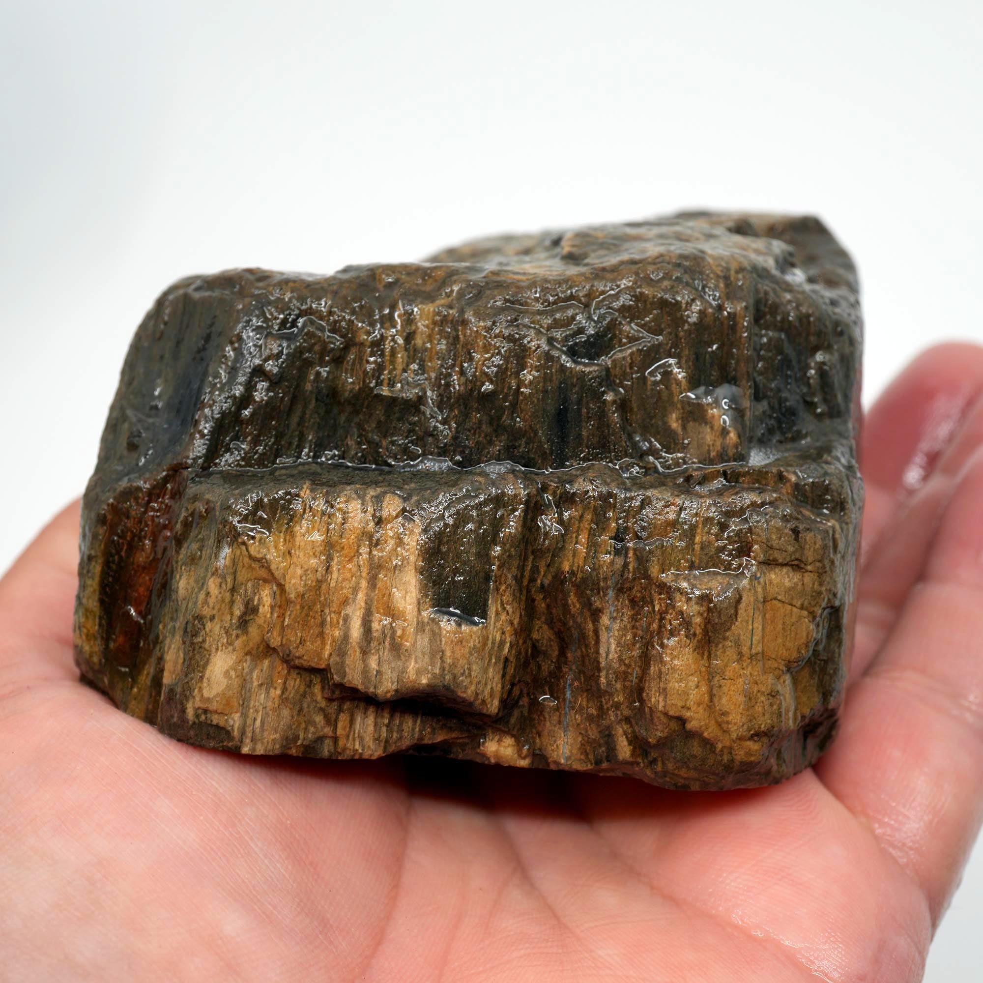 Prineville Herringbone Petrified Wood Cut and Proven - Black Herringbone Pattern