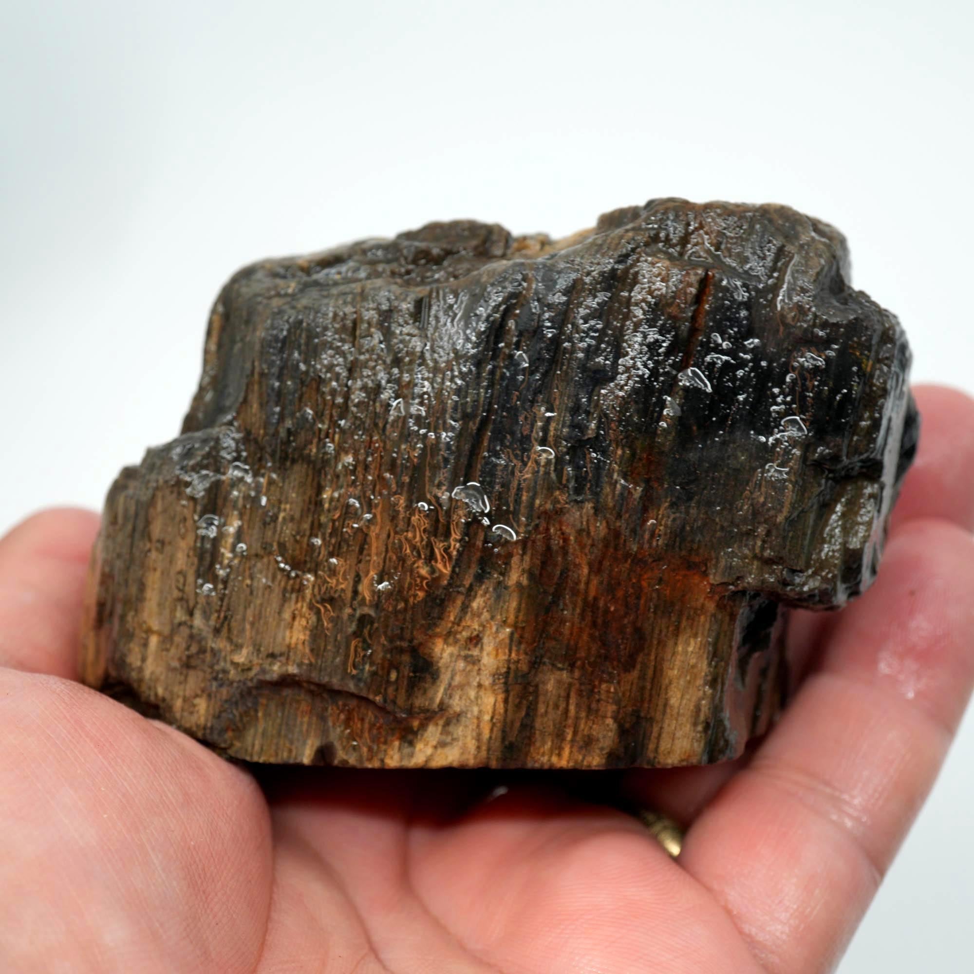 Prineville Herringbone Petrified Wood Cut and Proven - Black Herringbone Pattern