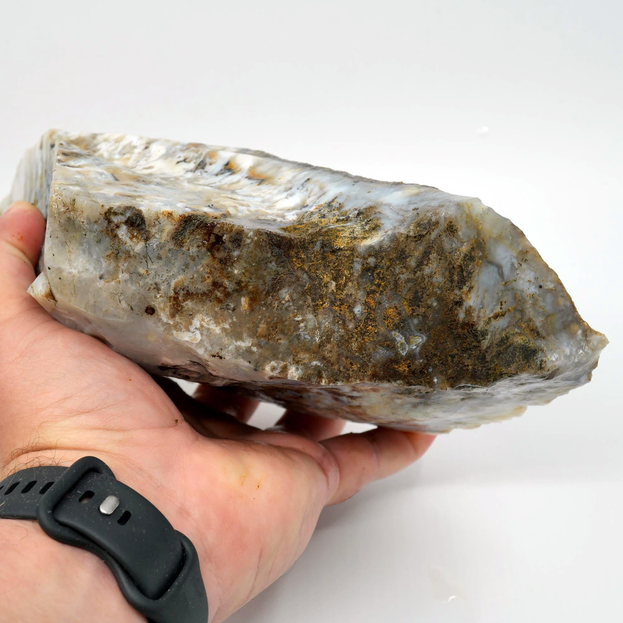 Sheep Creek Plume Agate Rough - High Grade White Mushroom Plume Display