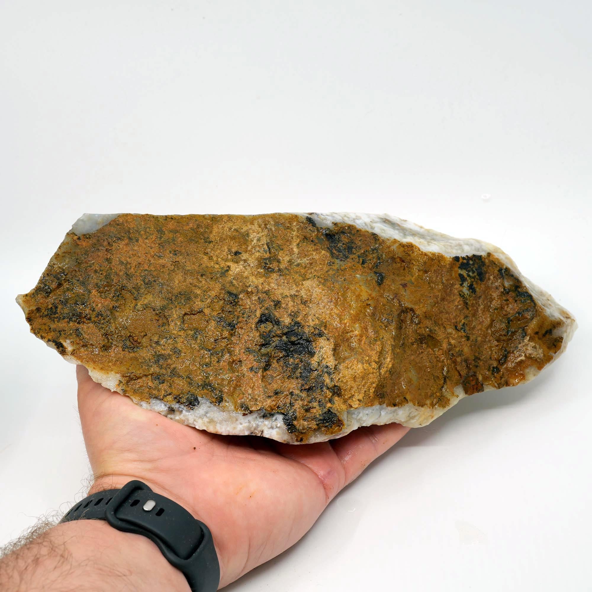 Sheep Creek Plume Agate Rough - High Grade White Mushroom Plume Display