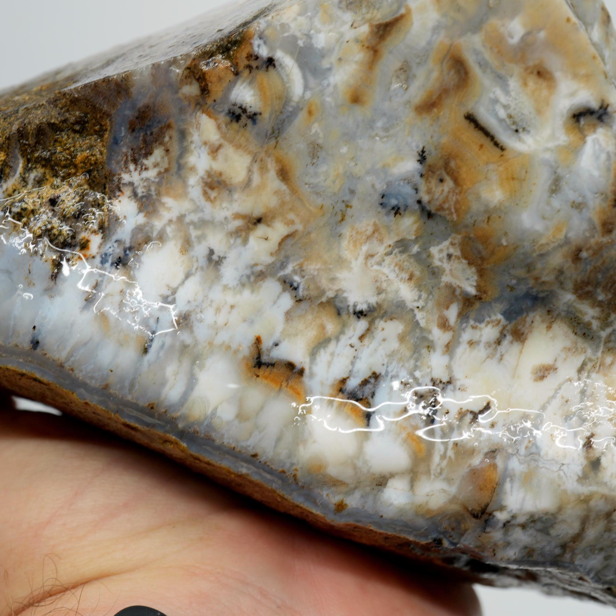 Sheep Creek Plume Agate Rough - High Grade White Mushroom Plume Display