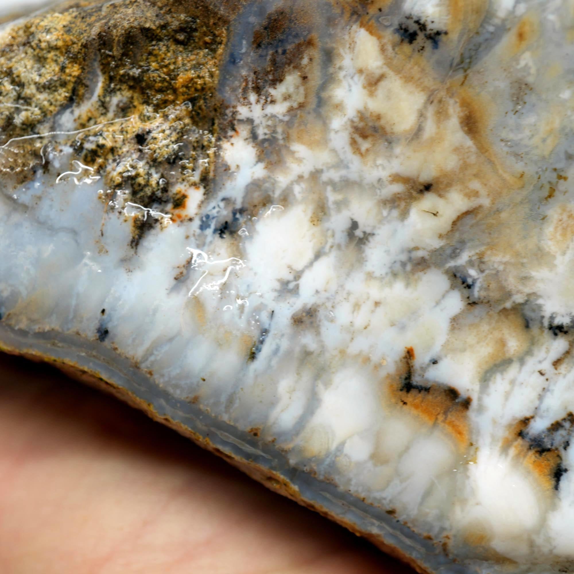 Sheep Creek Plume Agate Rough - High Grade White Mushroom Plume Display