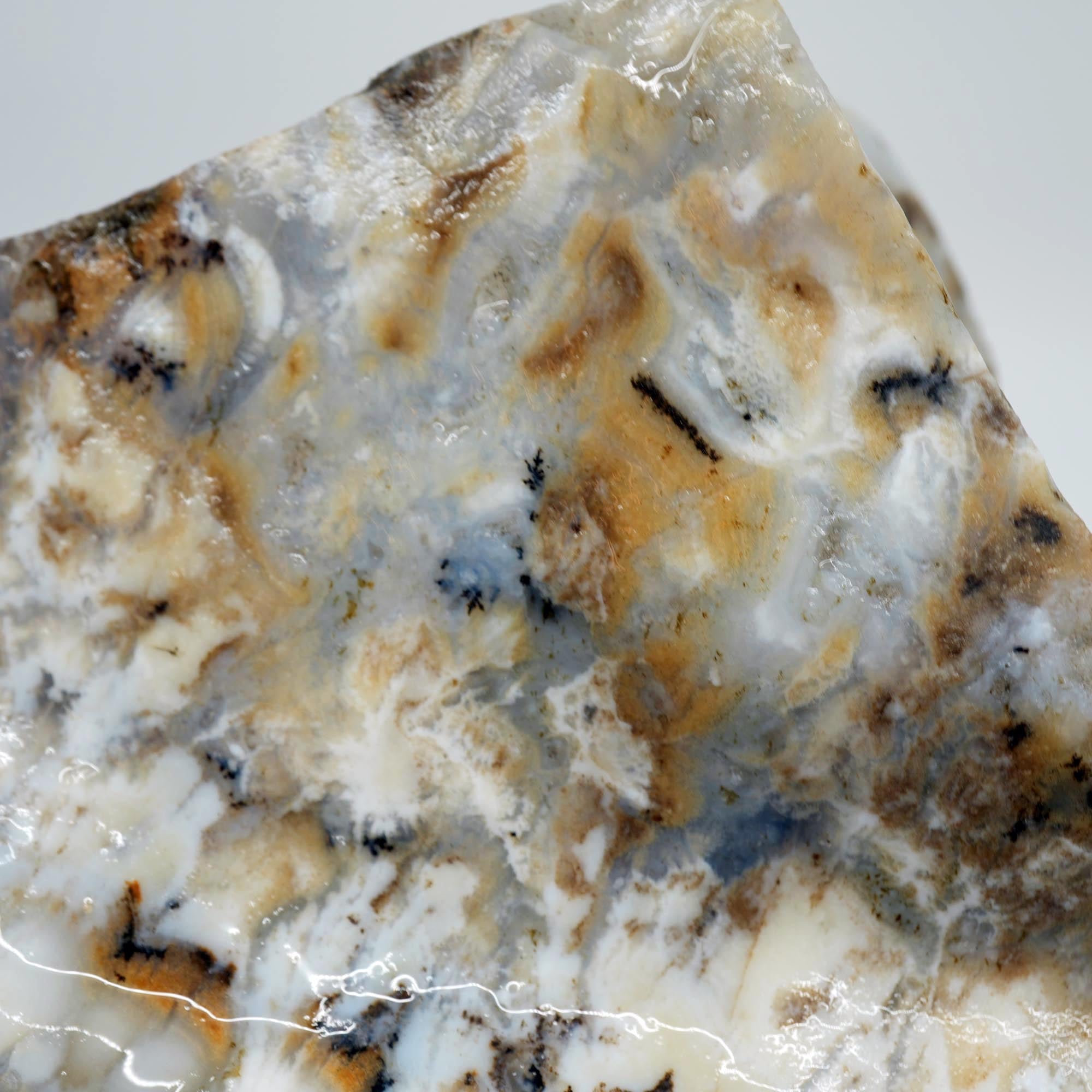 Sheep Creek Plume Agate Rough - High Grade White Mushroom Plume Display