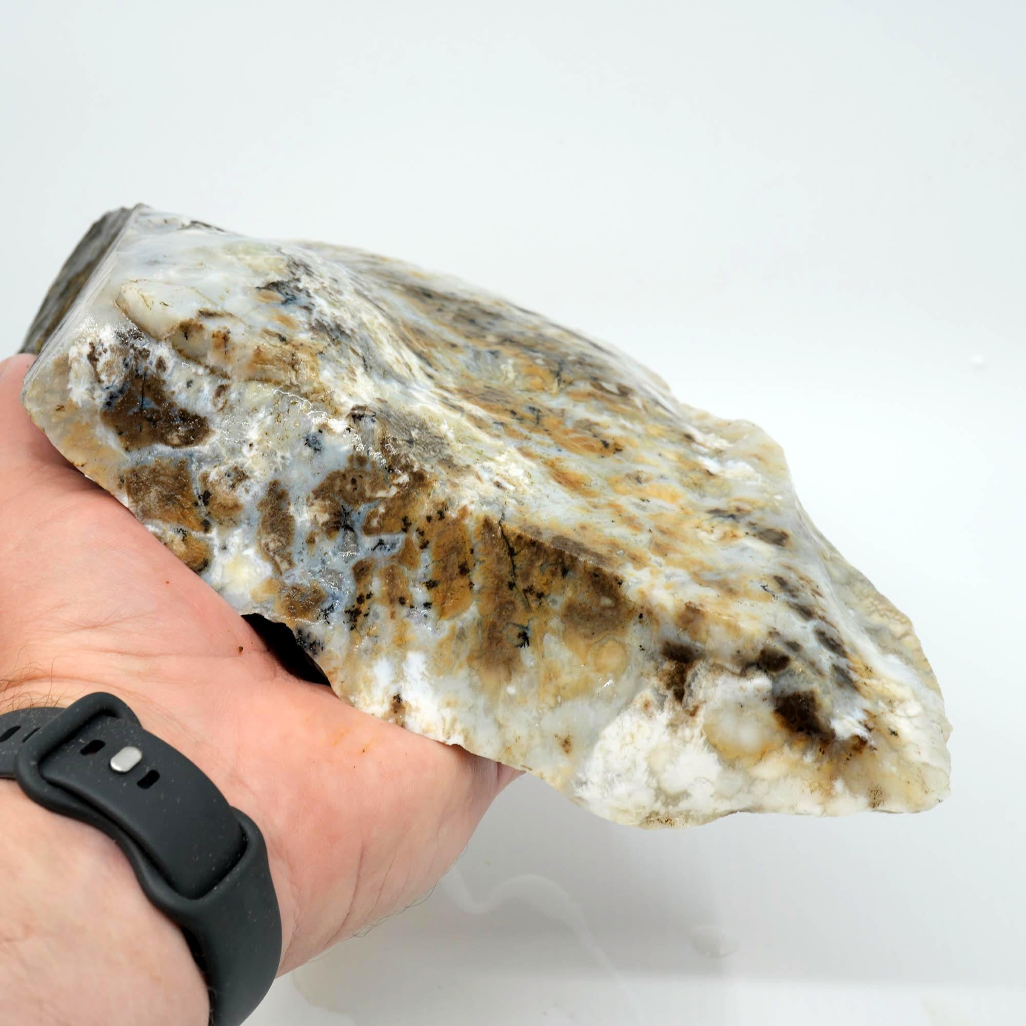 Sheep Creek Plume Agate Rough - High Grade White Mushroom Plume Display