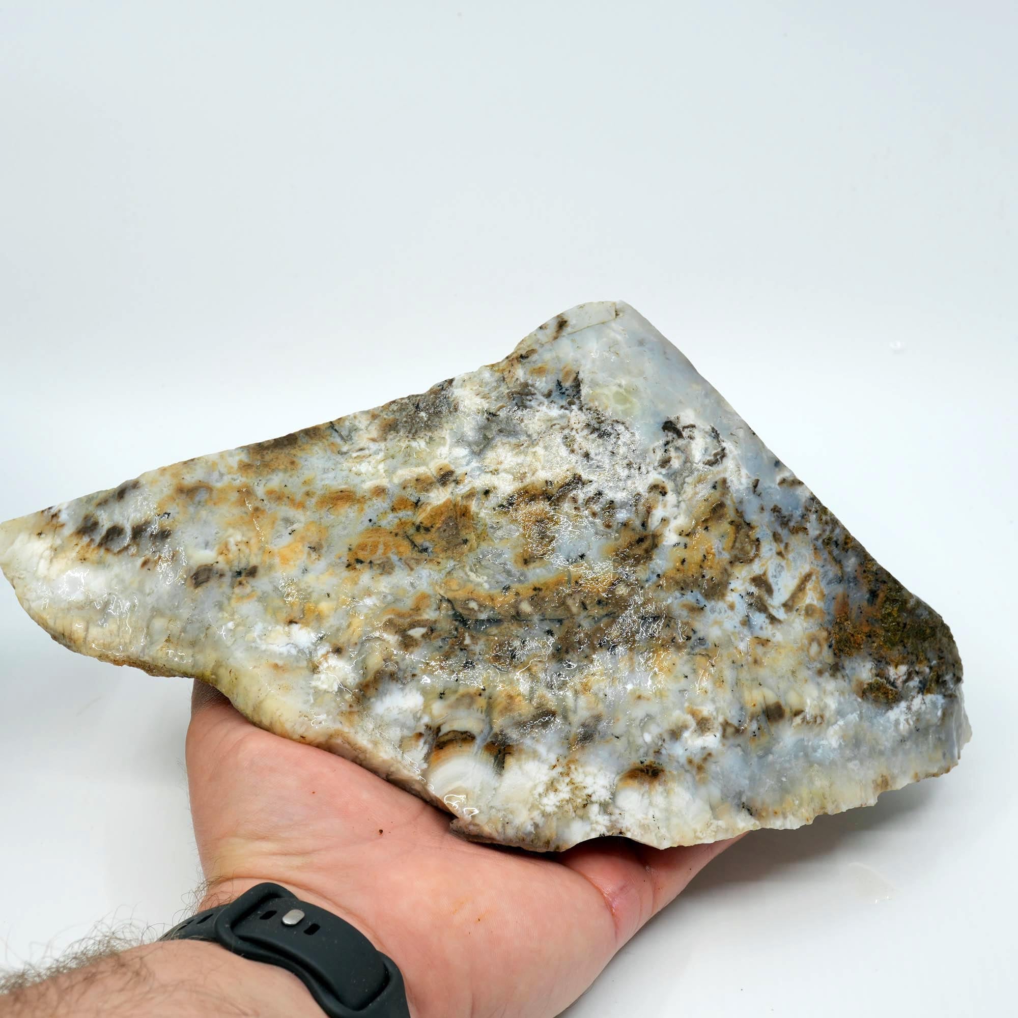 Sheep Creek Plume Agate Rough - High Grade White Mushroom Plume Display