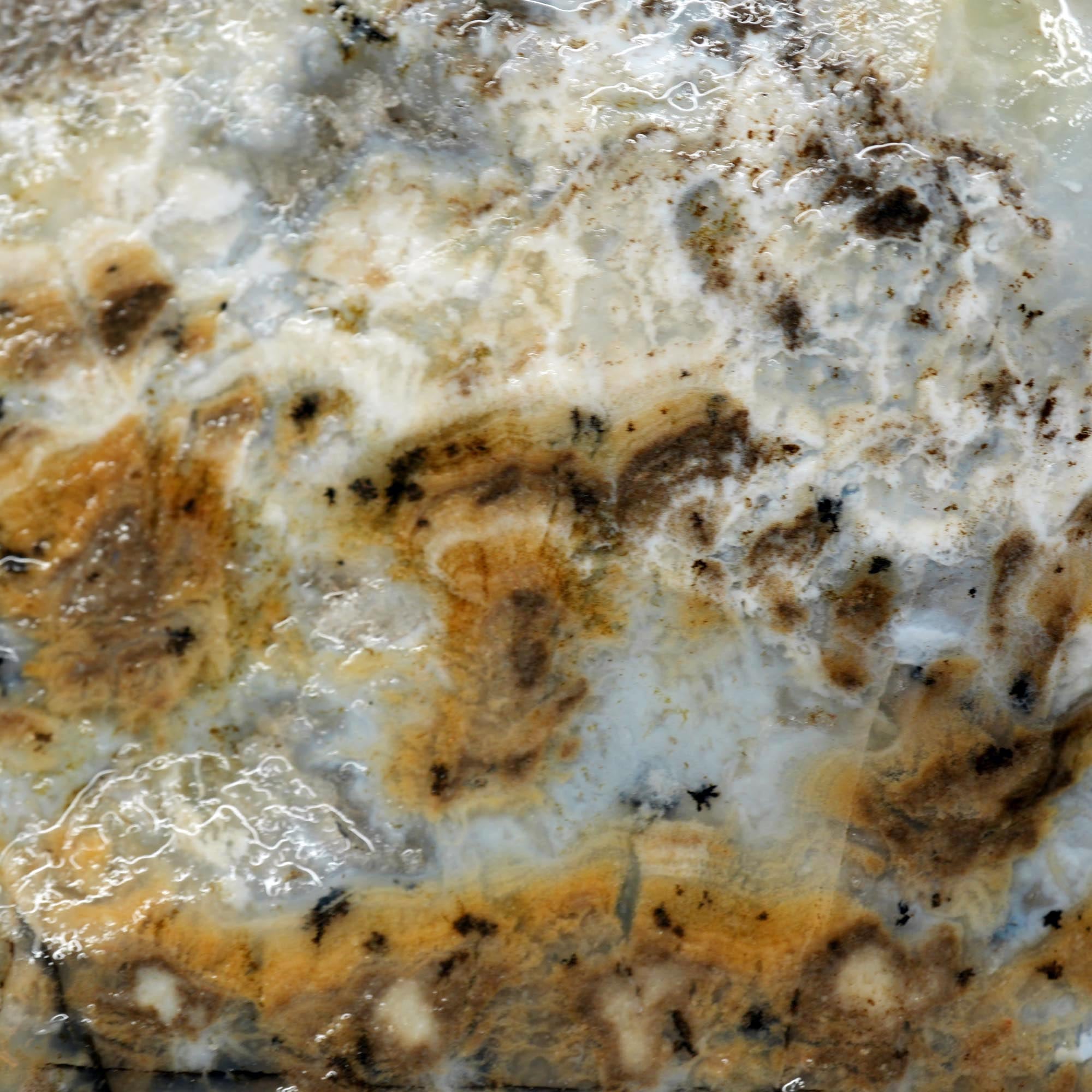 Sheep Creek Plume Agate Rough - High Grade White Mushroom Plume Display