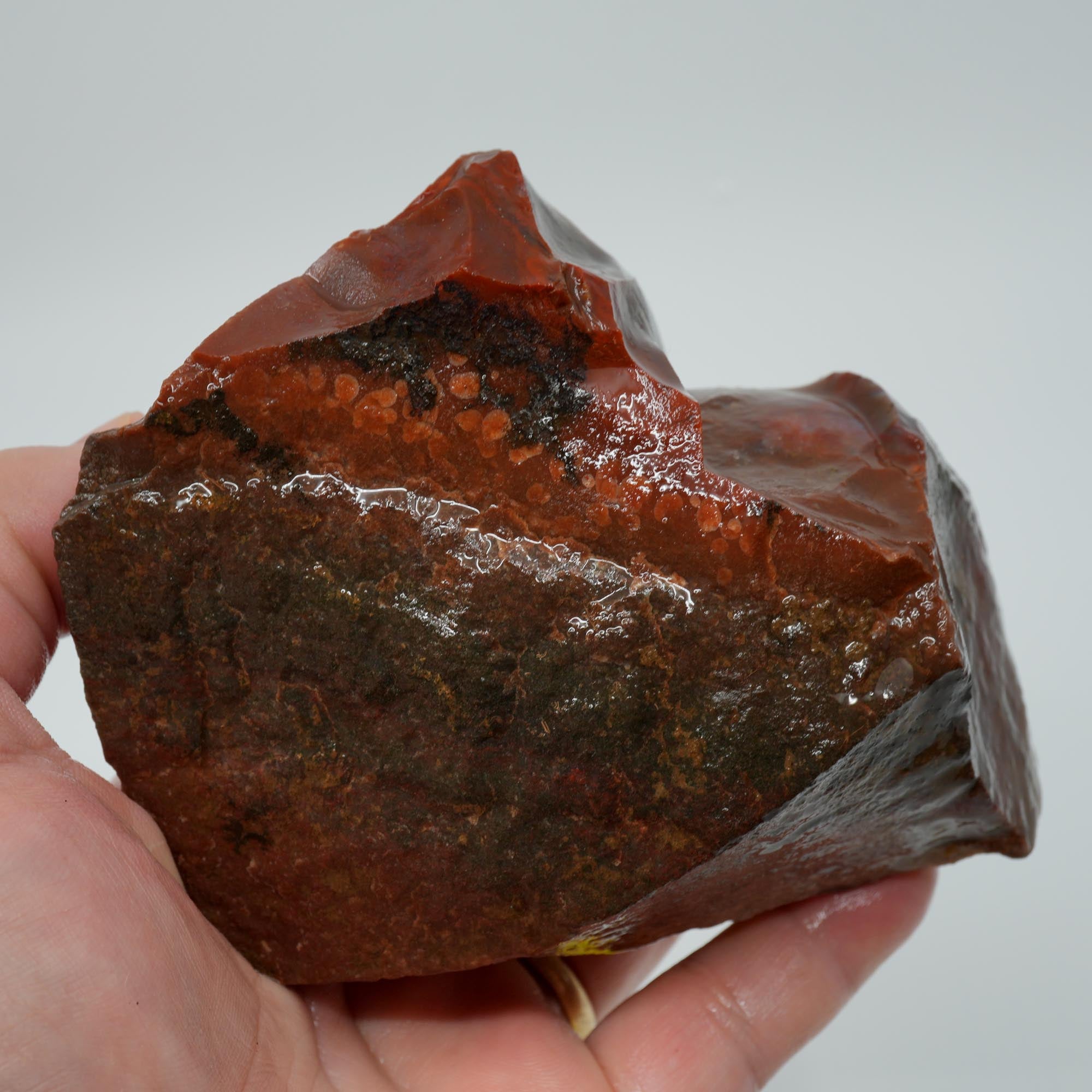 Carey Plume Agate Rough - Unique Oolitic Pattern with Thick Matrix