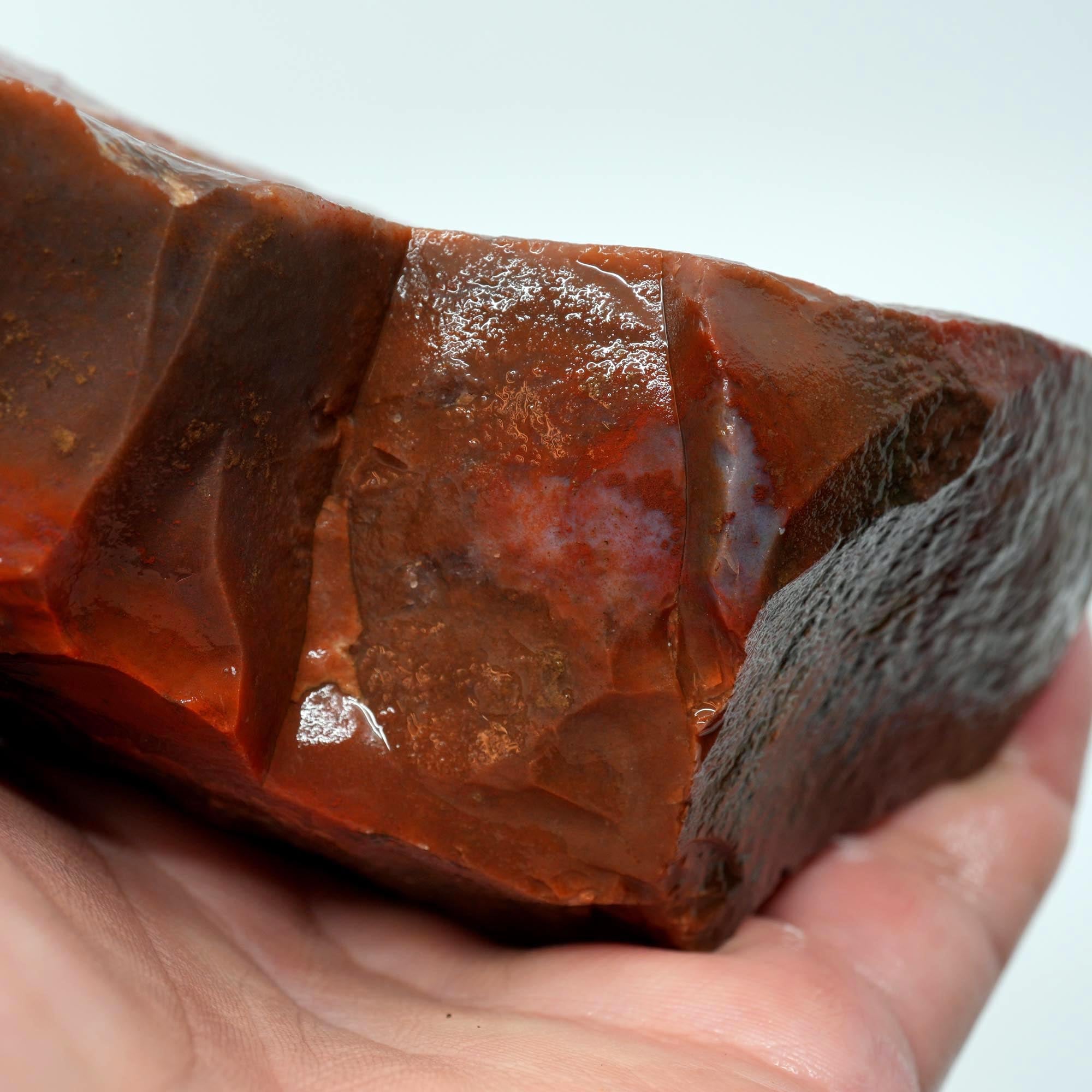 Carey Plume Agate Rough - Unique Oolitic Pattern with Thick Matrix