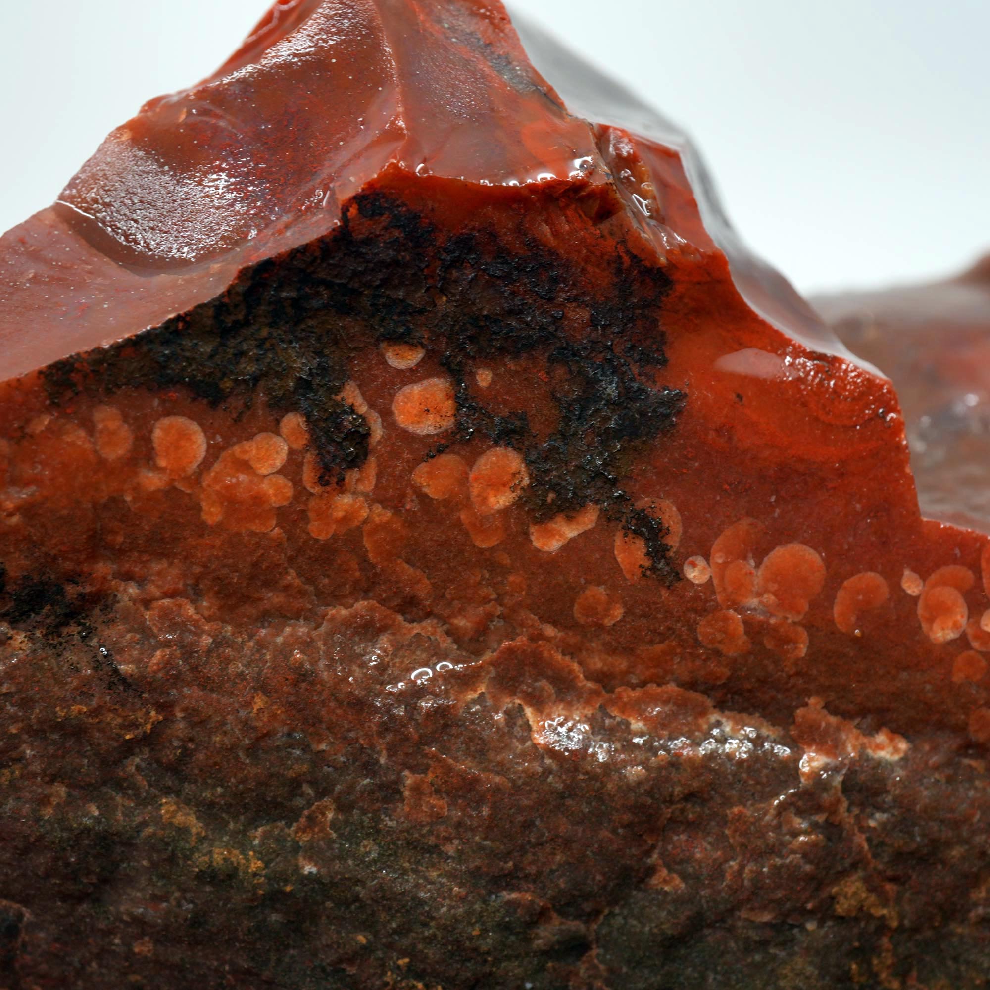 Carey Plume Agate Rough - Unique Oolitic Pattern with Thick Matrix