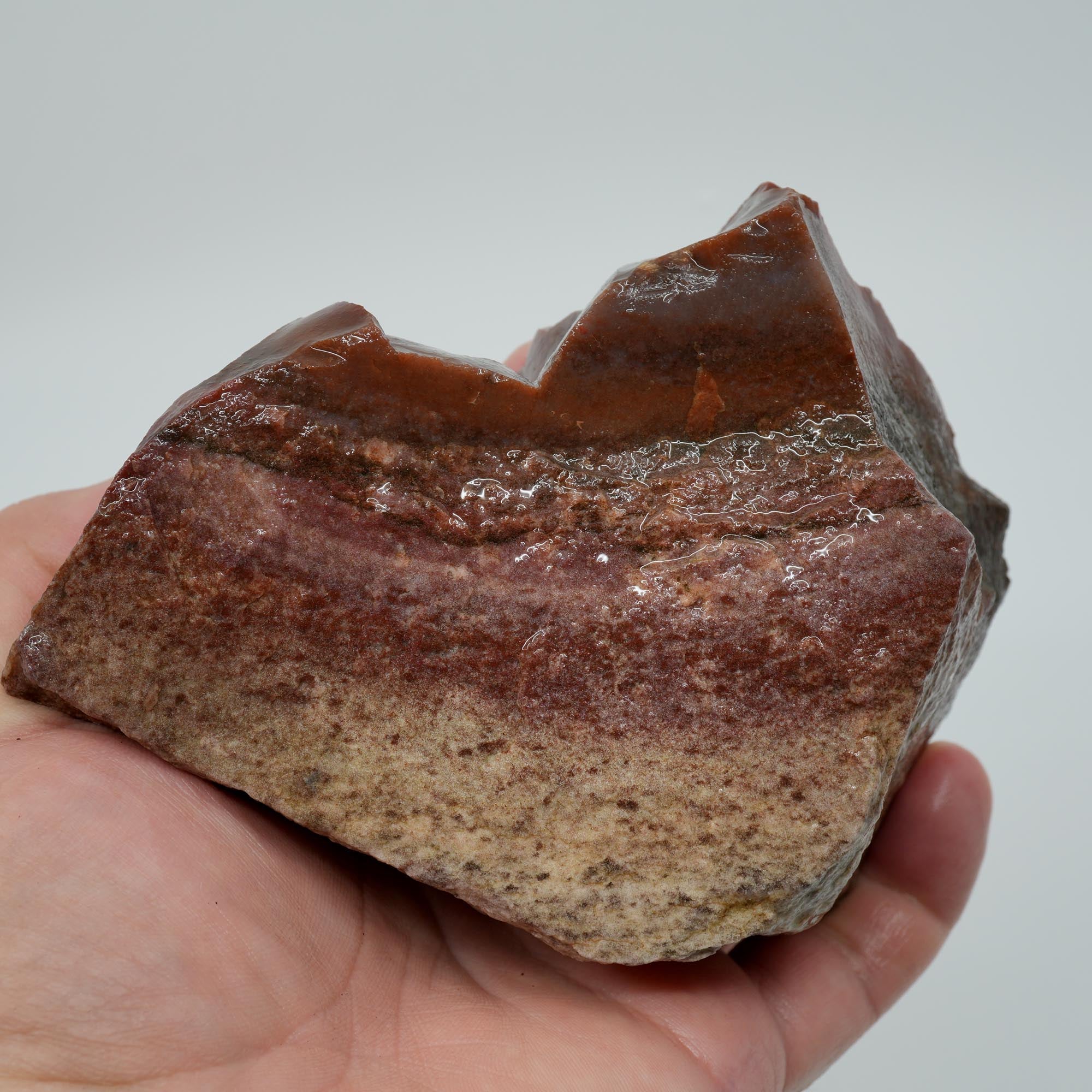 Carey Plume Agate Rough - Unique Oolitic Pattern with Thick Matrix