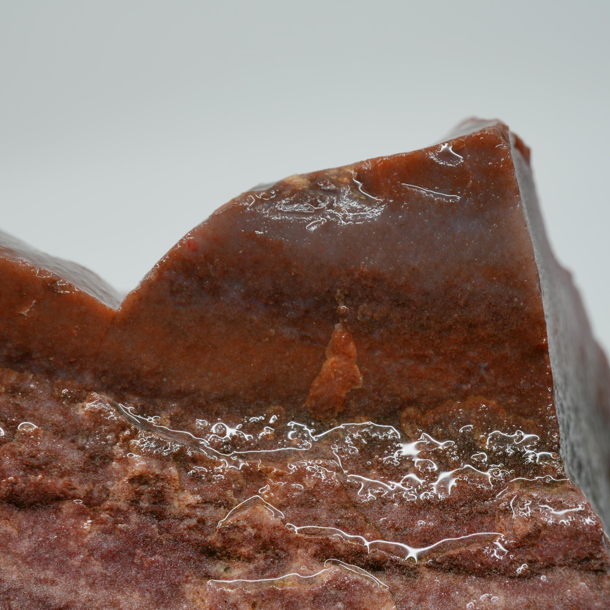Carey Plume Agate Rough - Unique Oolitic Pattern with Thick Matrix