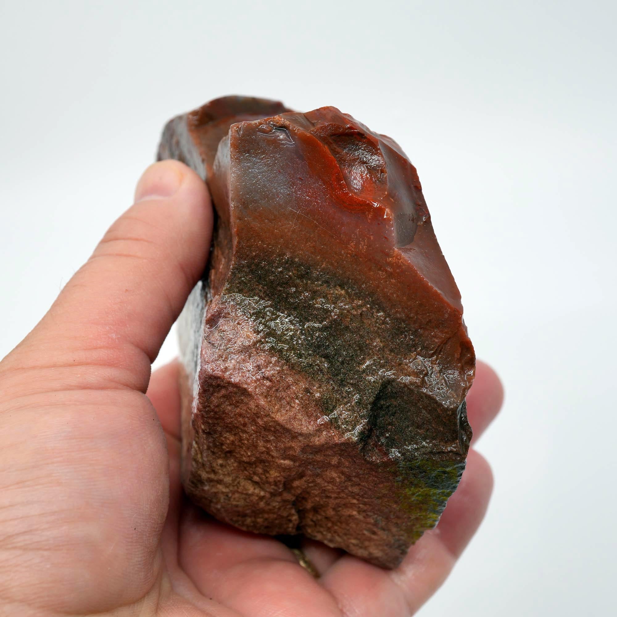 Carey Plume Agate Rough - Unique Oolitic Pattern with Thick Matrix