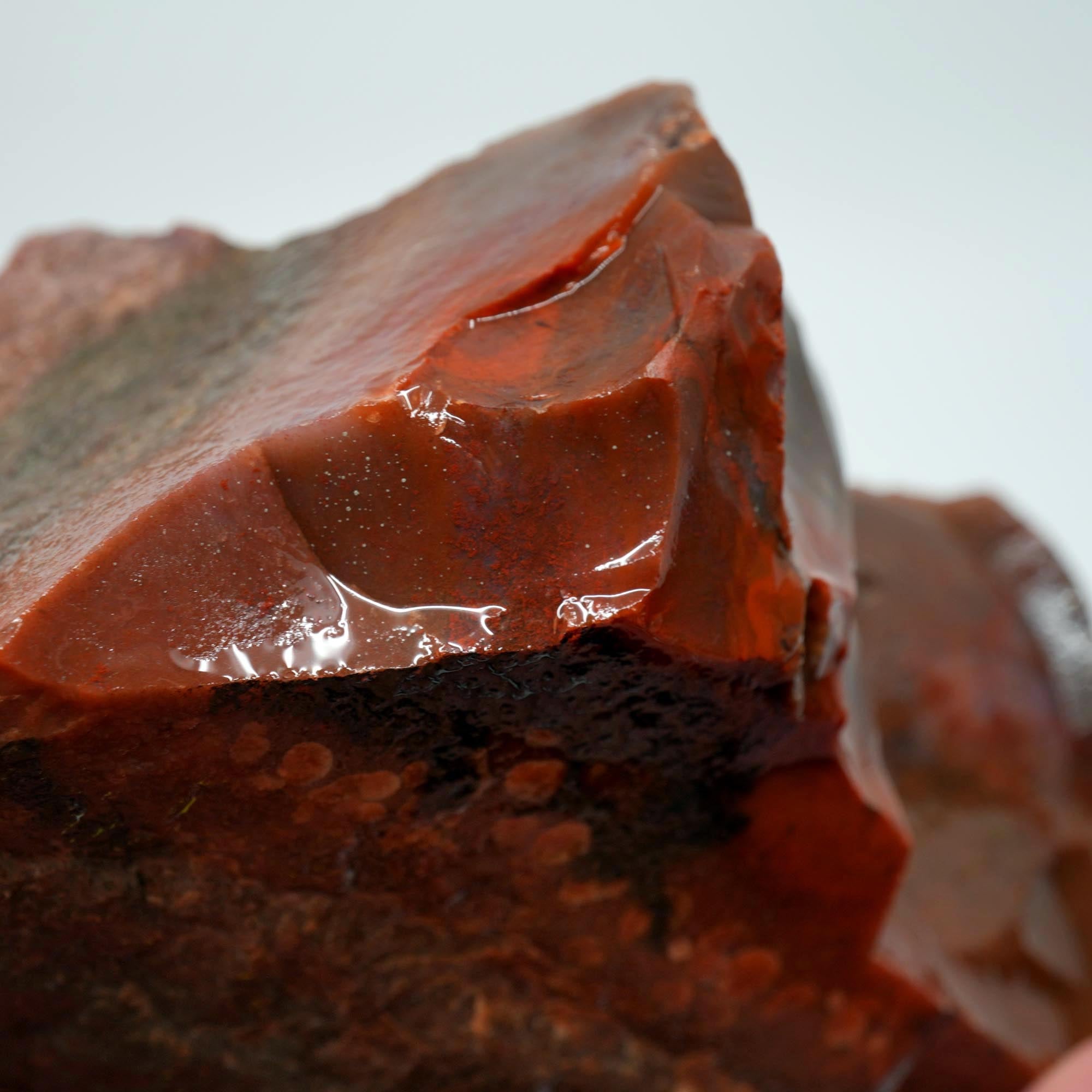 Carey Plume Agate Rough - Unique Oolitic Pattern with Thick Matrix