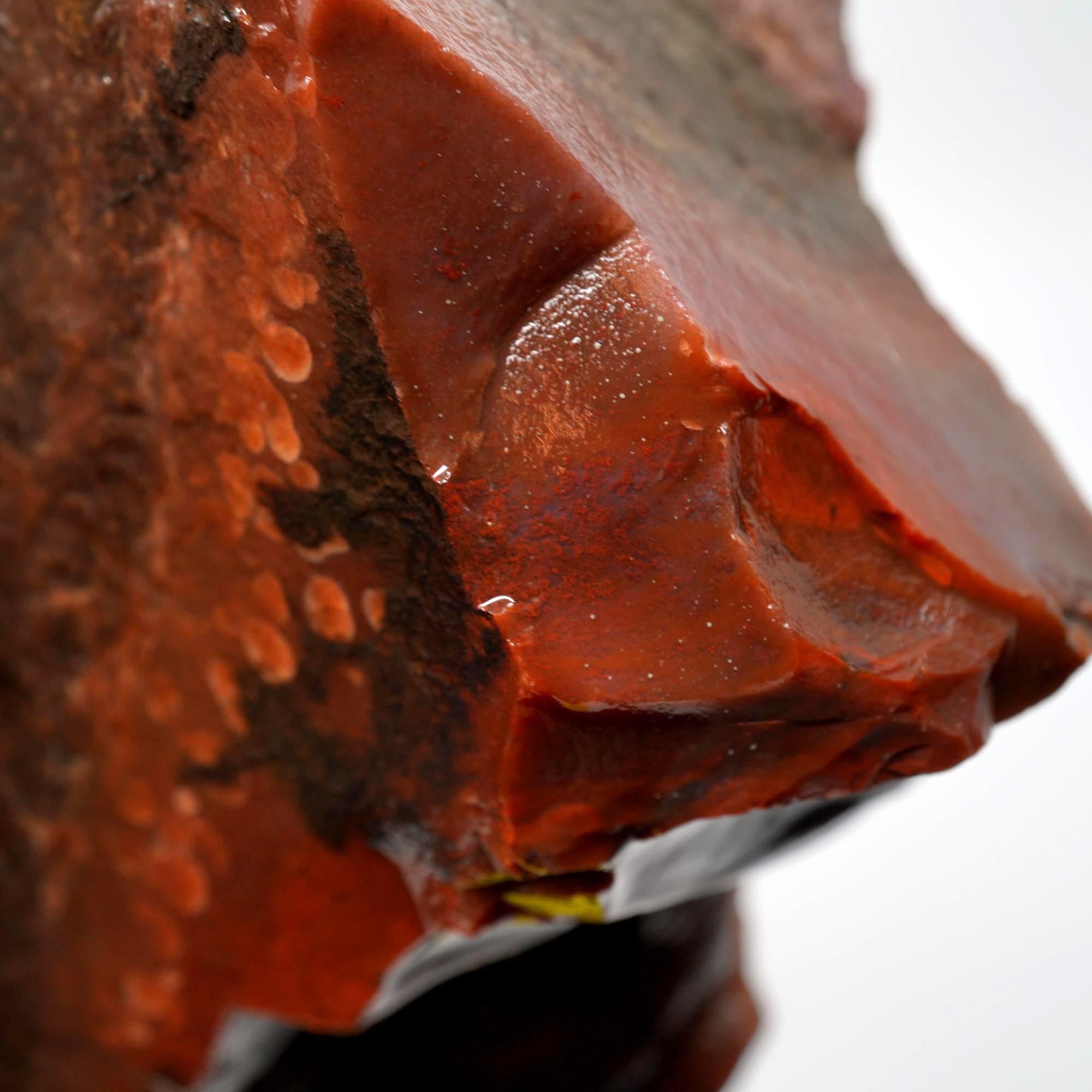 Carey Plume Agate Rough - Unique Oolitic Pattern with Thick Matrix