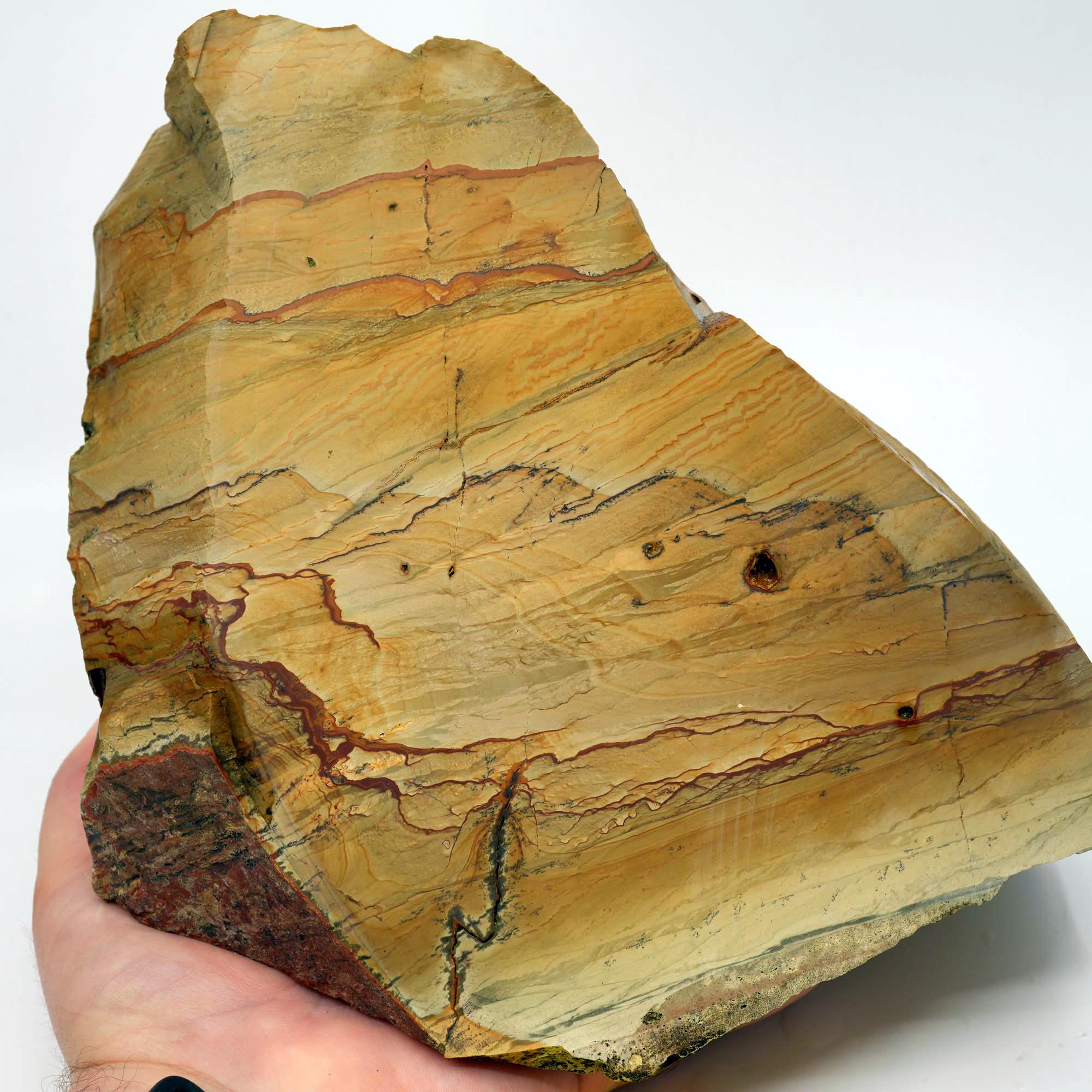 Owyhee Picture Jasper Cut and Proven - Believed Windy Ridge Variety - 18 lbs
