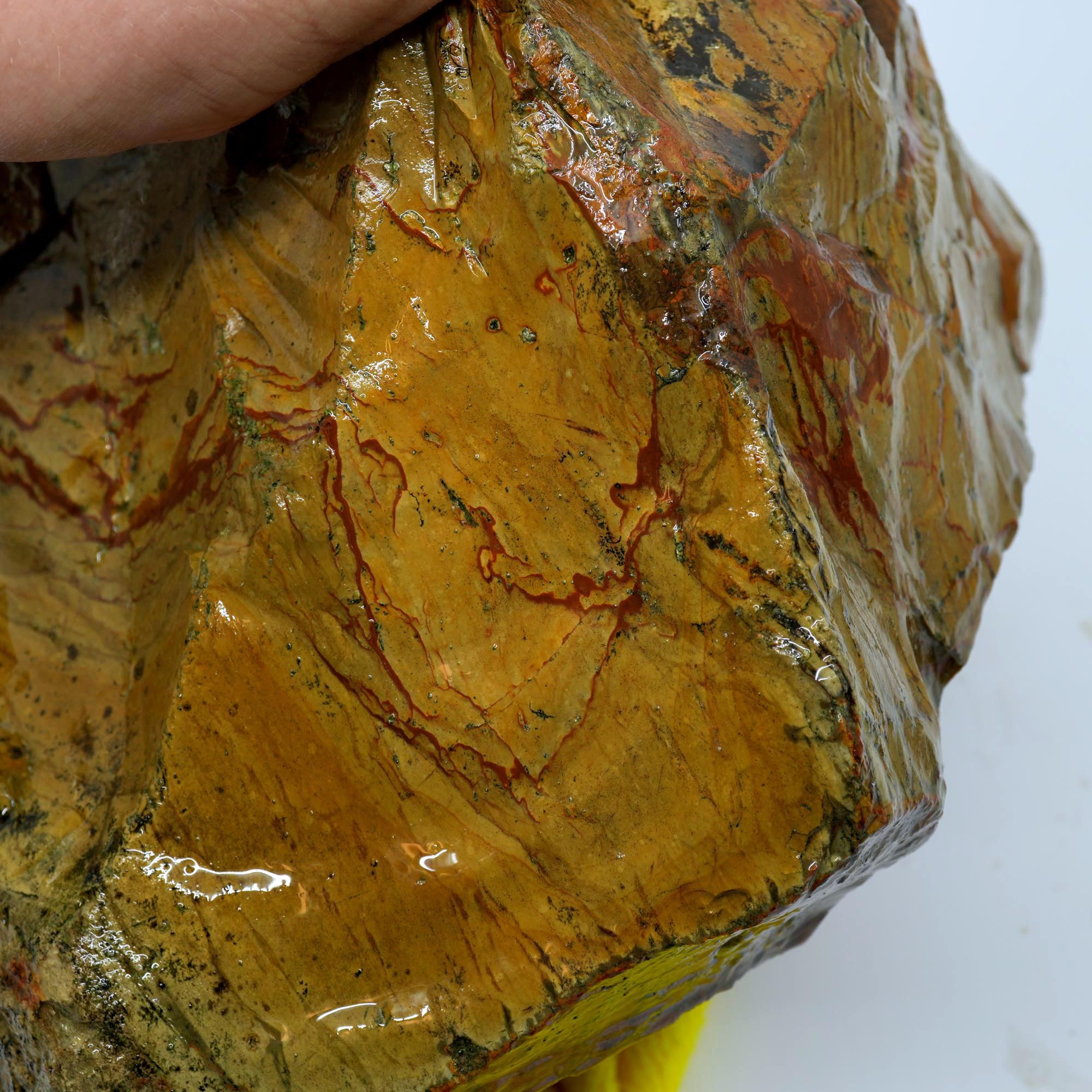 Owyhee Picture Jasper Cut and Proven - Believed Windy Ridge Variety - 18 lbs