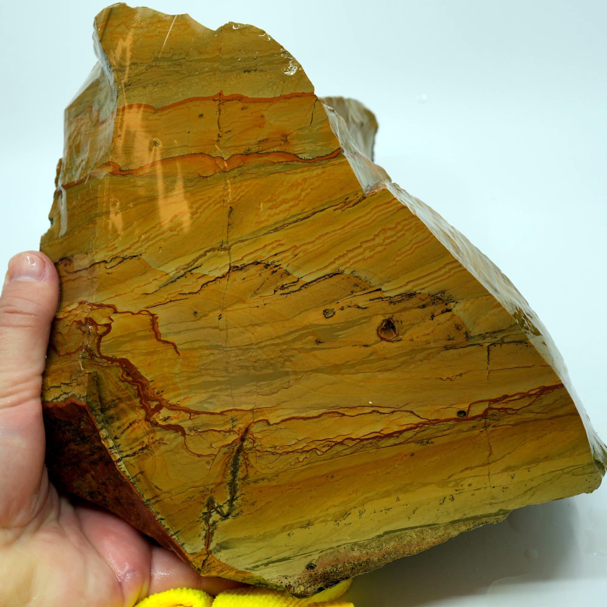 Owyhee Picture Jasper Cut and Proven - Believed Windy Ridge Variety - 18 lbs