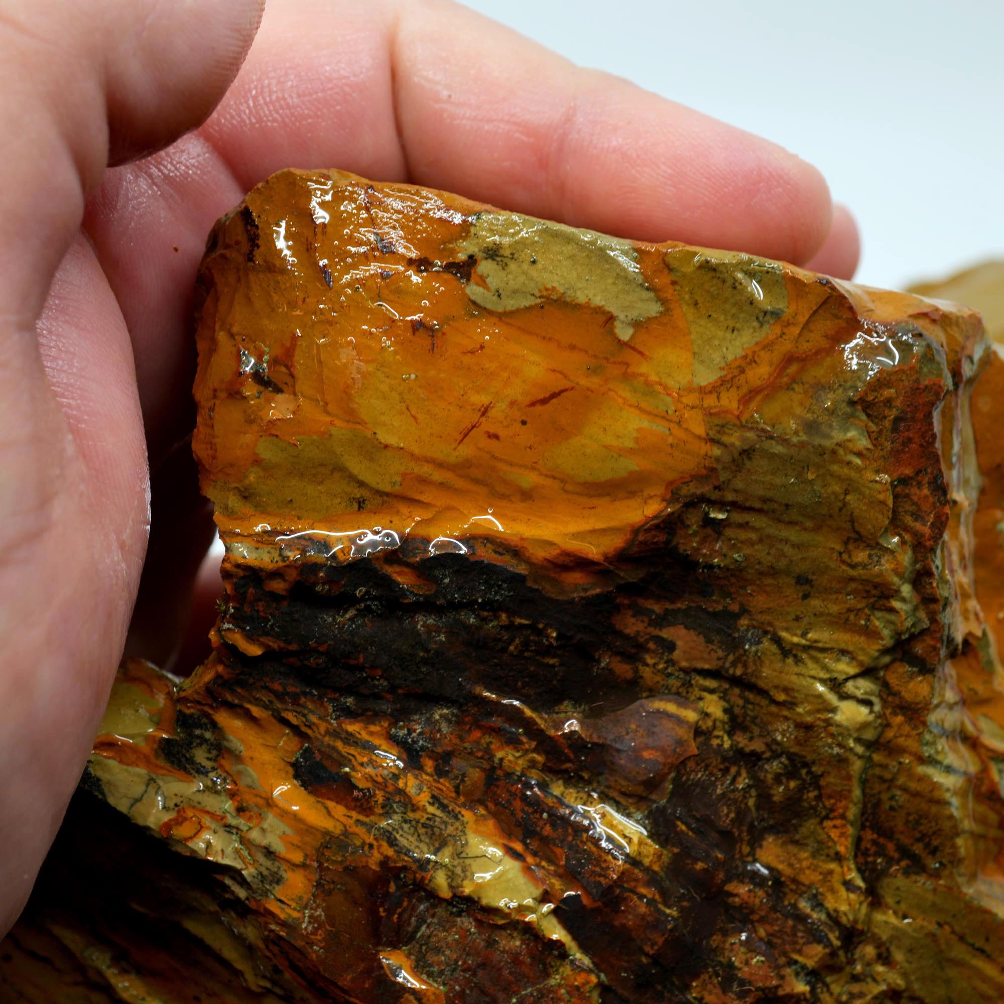 Owyhee Picture Jasper Cut and Proven - Believed Windy Ridge Variety - 18 lbs